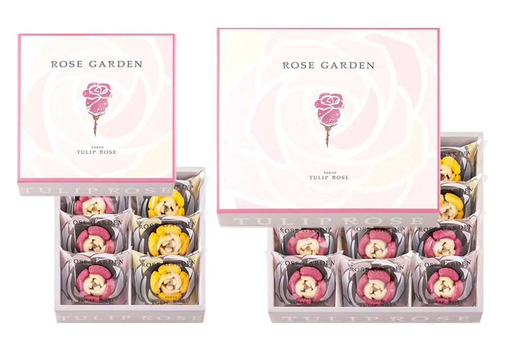All flowers⭐️新品レア6枚set⭐️限定ROSE  チューリップ　近沢 お年賀】華やかな紅白カラーが目を引く『チューリップローズ 初