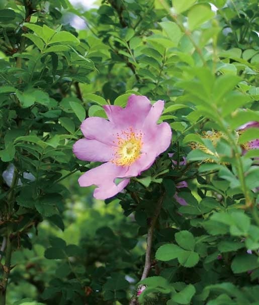 ナリス　ビューティープロ 2025年最新】ナリス ビューティープロの人気アイテム - メルカリ