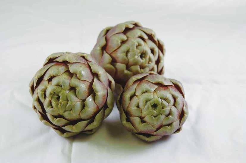 アーチチョーク