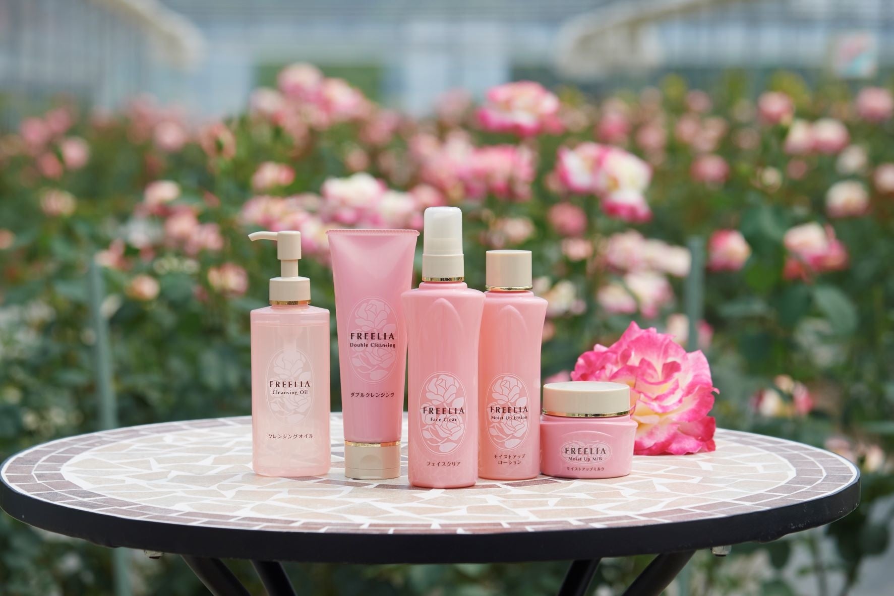 5代目フリーリア