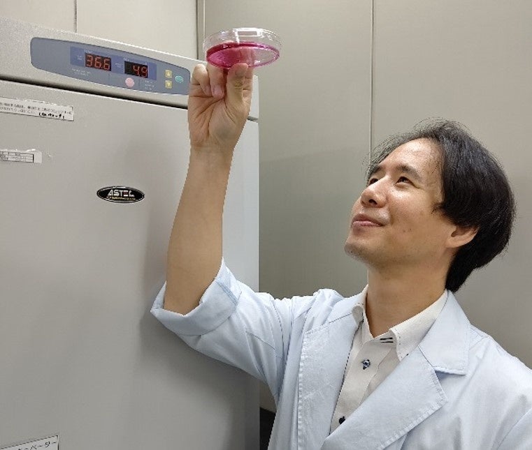 株式会社ナリス化粧品 森田哲史