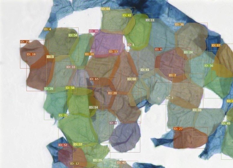 AI解析により重なった角層を個別に識別