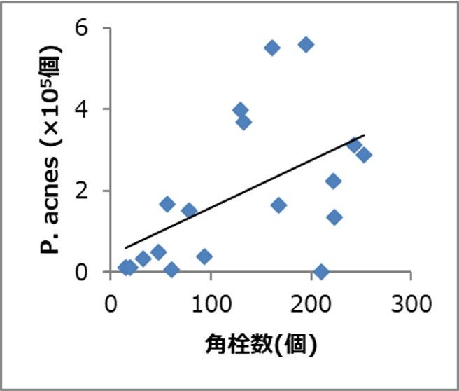 アクネ菌数と角栓数の相関