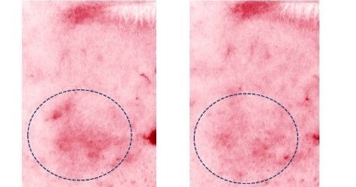 左　塗布試験前　右　塗布試験後（ともにヘモグロビン抽出画像）