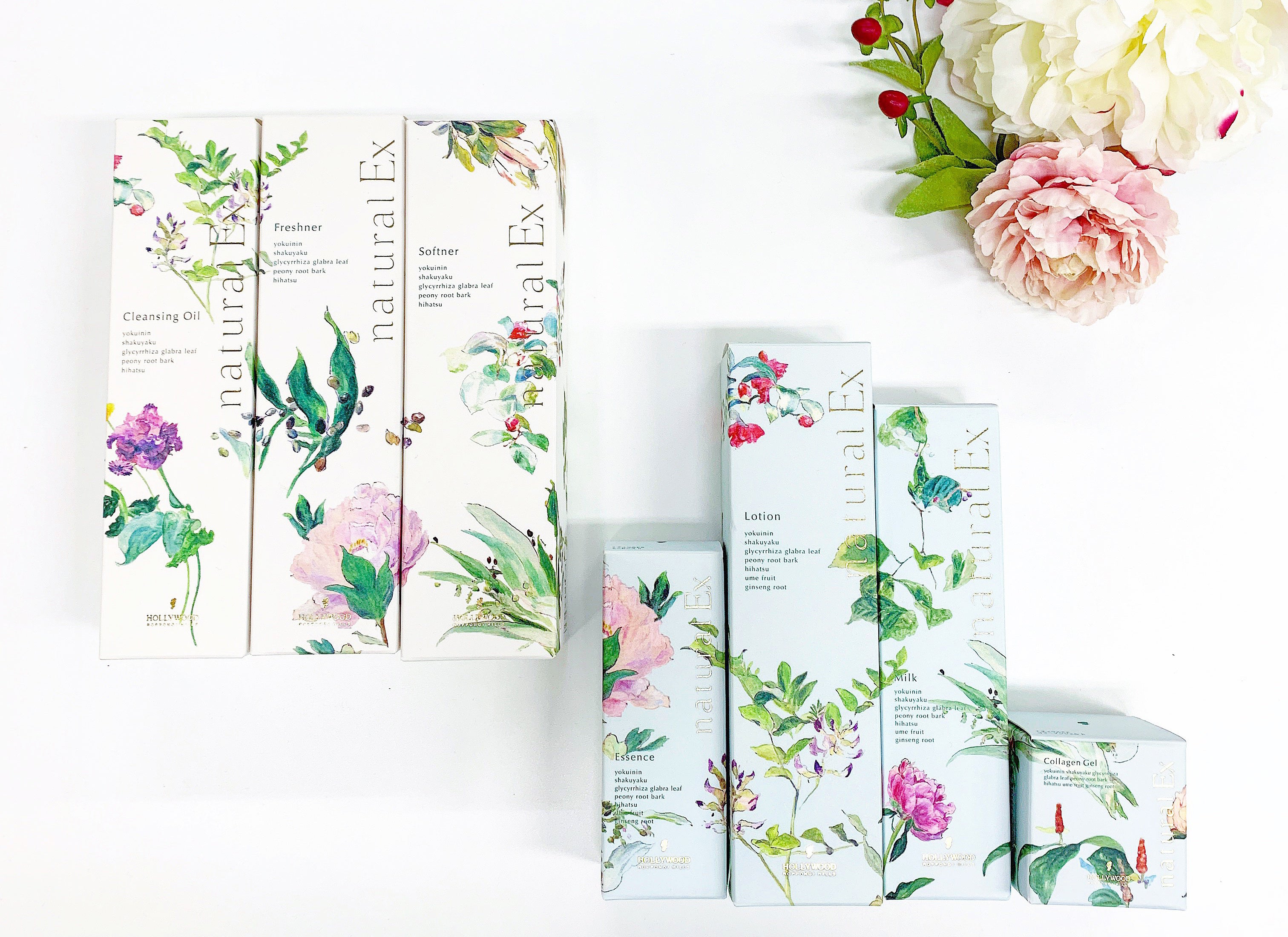 HOLLYWOOD　ナチュラル EX h