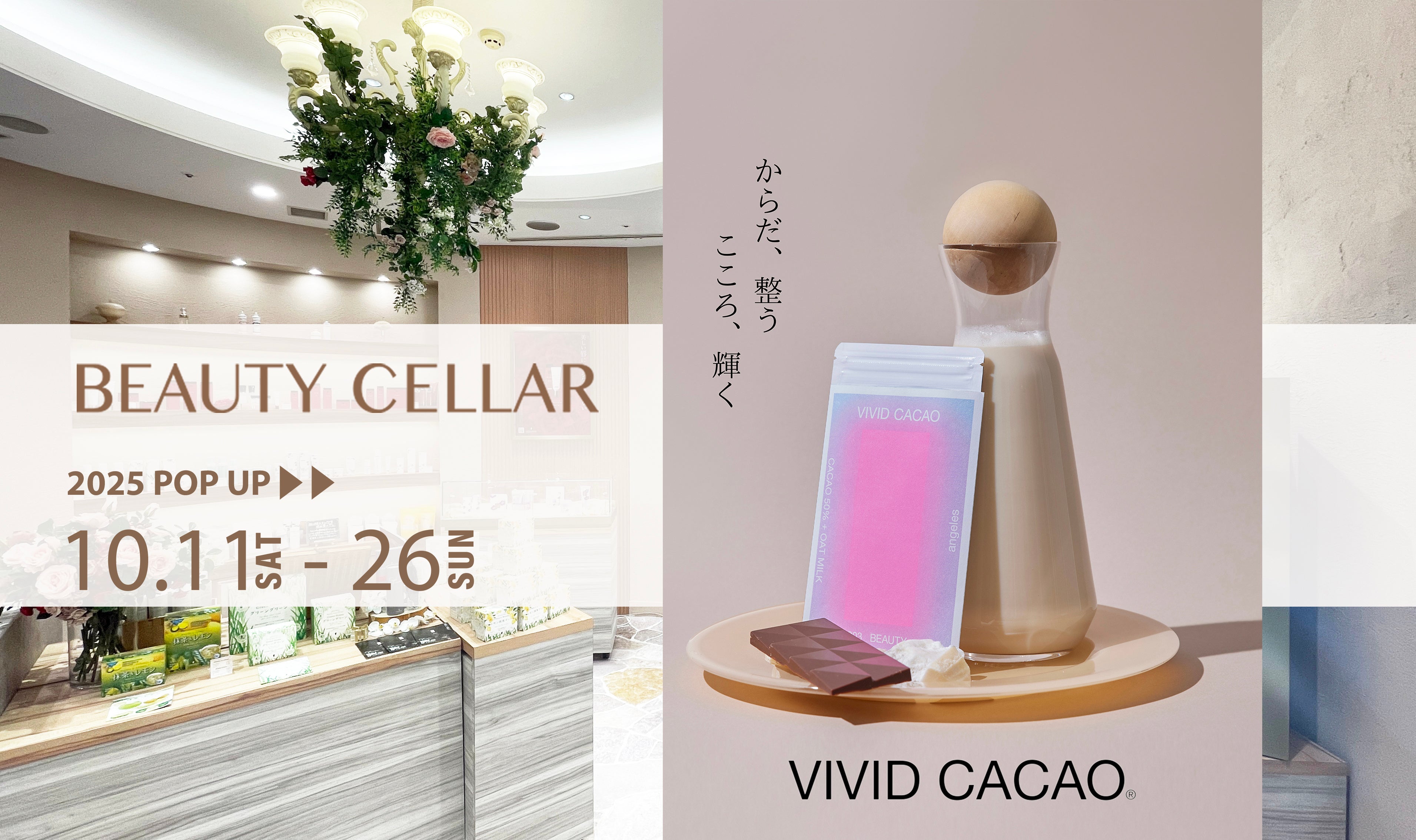 薬用シワ改善クリーム『ハリウッド アンテリッドクリーム』新