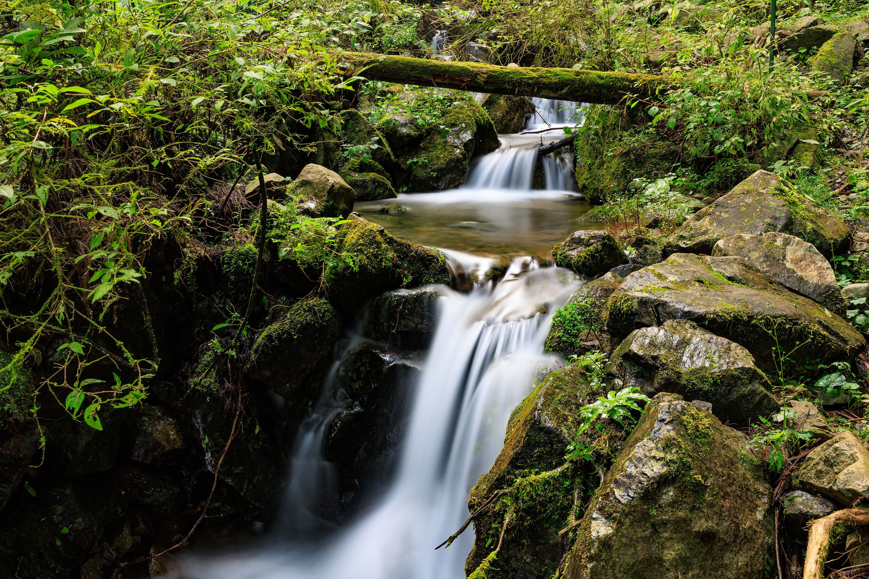 【「つなぐ森」の寸庭川】