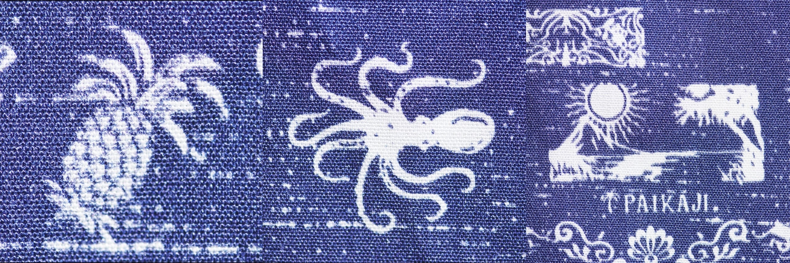 左から／パイナップル、タコ、パイカジのロゴ 　　　　　　　　　　　　　　　　　　　　　　　　　©杉田裕一