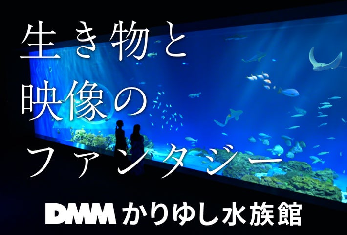 DMMかりゆし水族館 新テレビCM放送開始