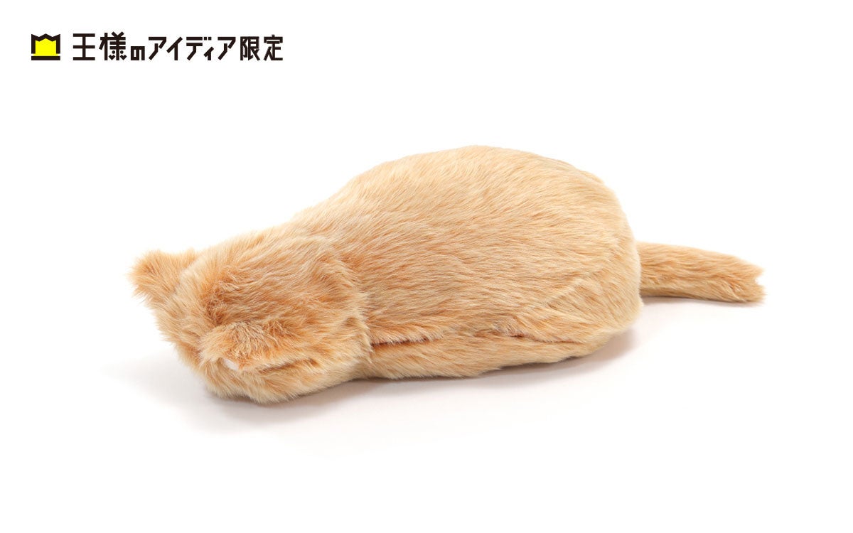 ミャウエバー(アプリコットブラウン)