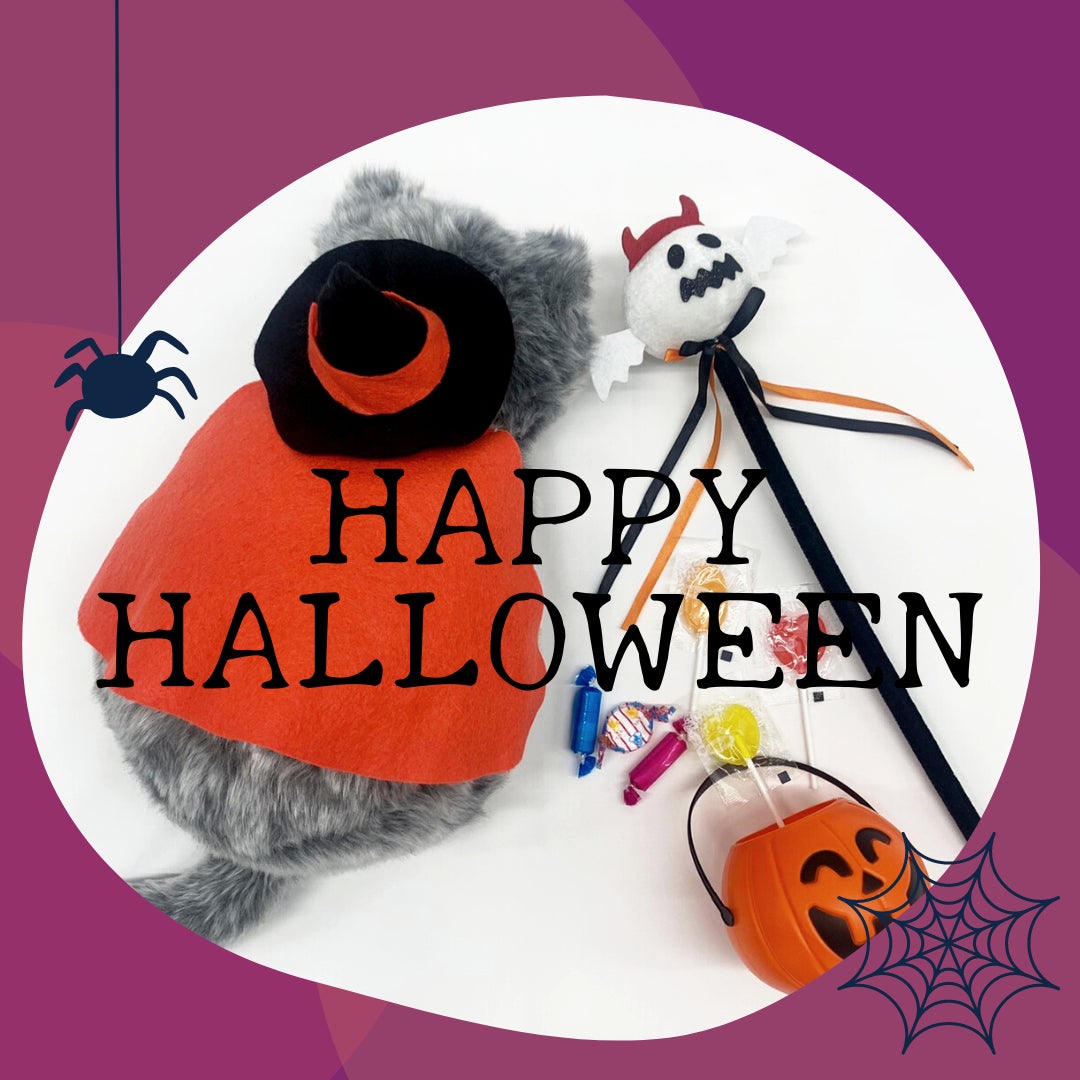 専用 ハロウィン ワクワク ねこちゃん 専用 ハロウィン ワクワク ねこちゃん