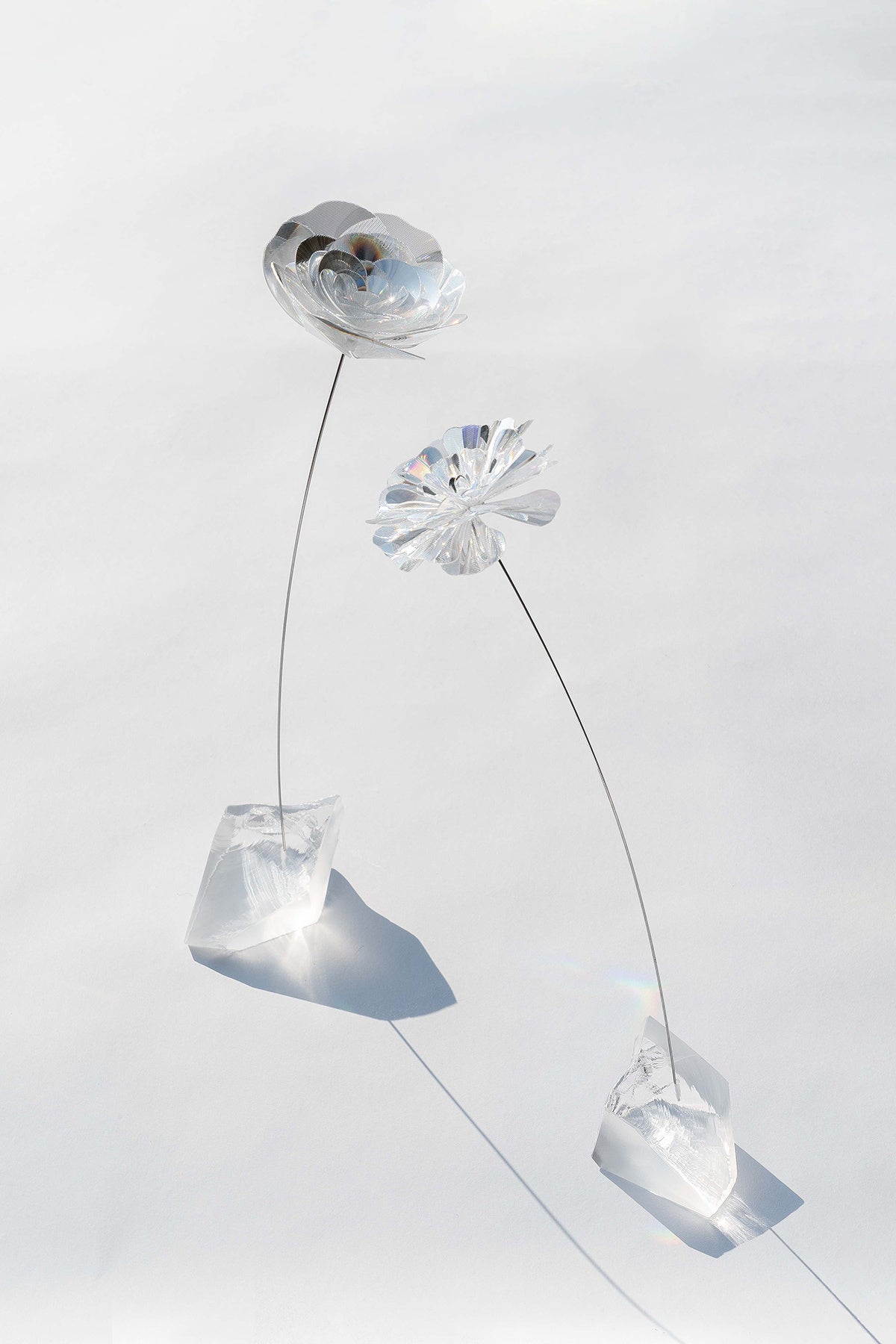 ご使用イメージ