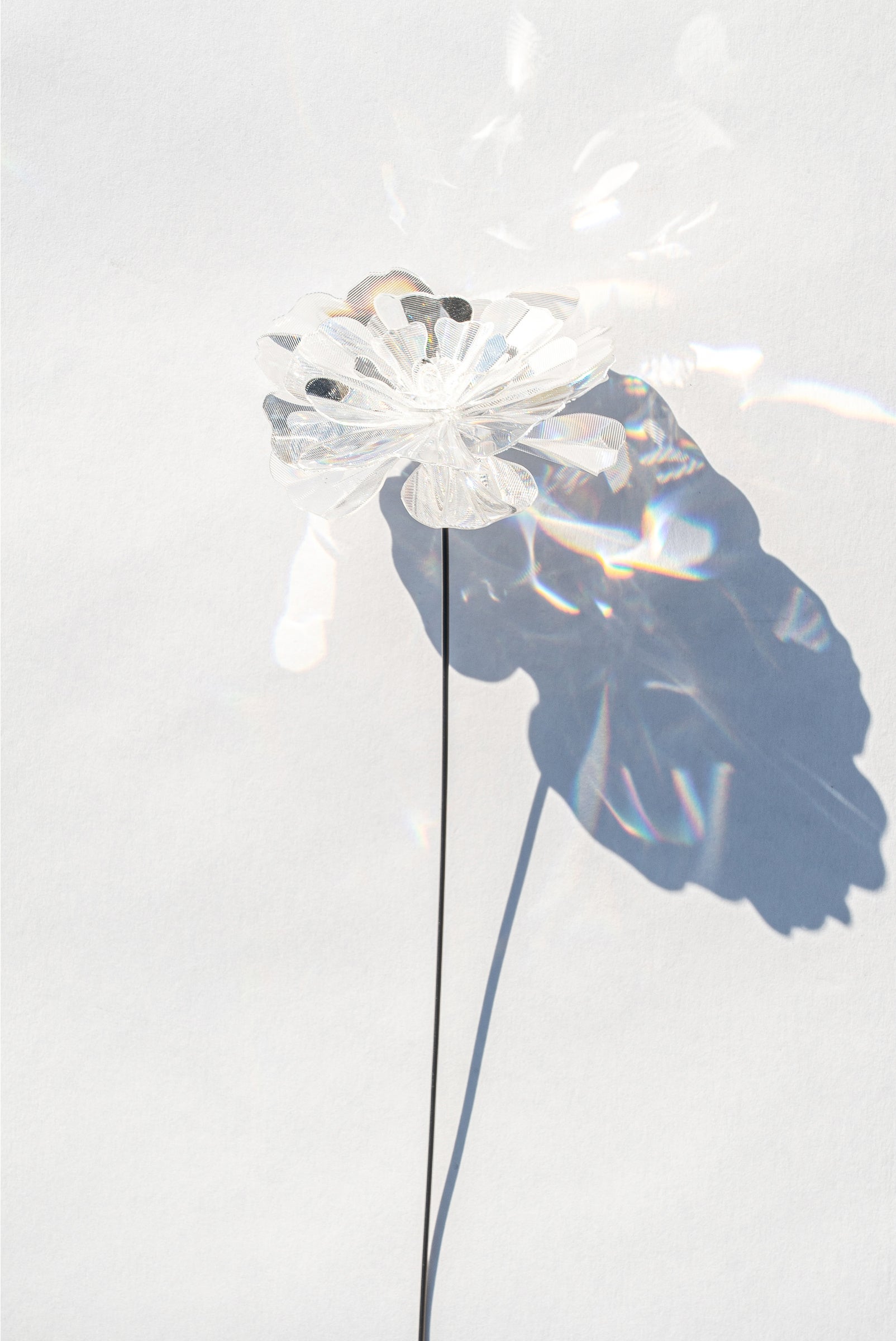 Prism Flower #1 Marigold ／ ¥5,610（税込）