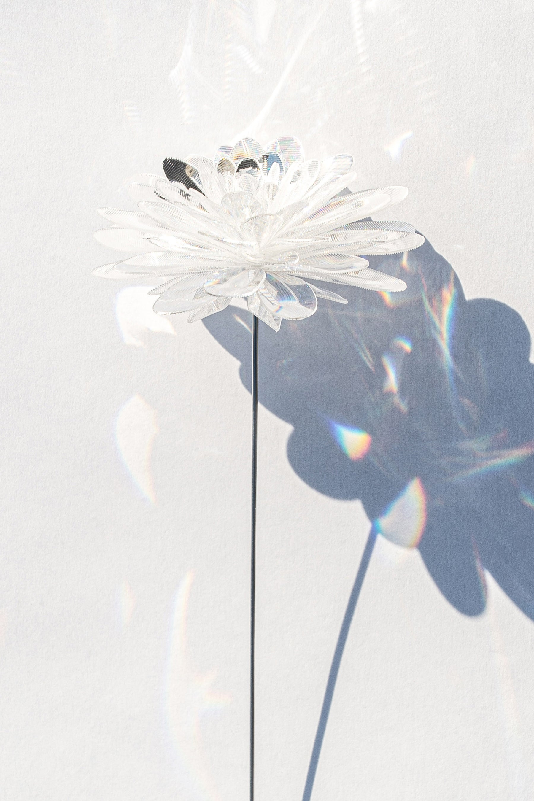 光を透過して輝くプリズムカラー