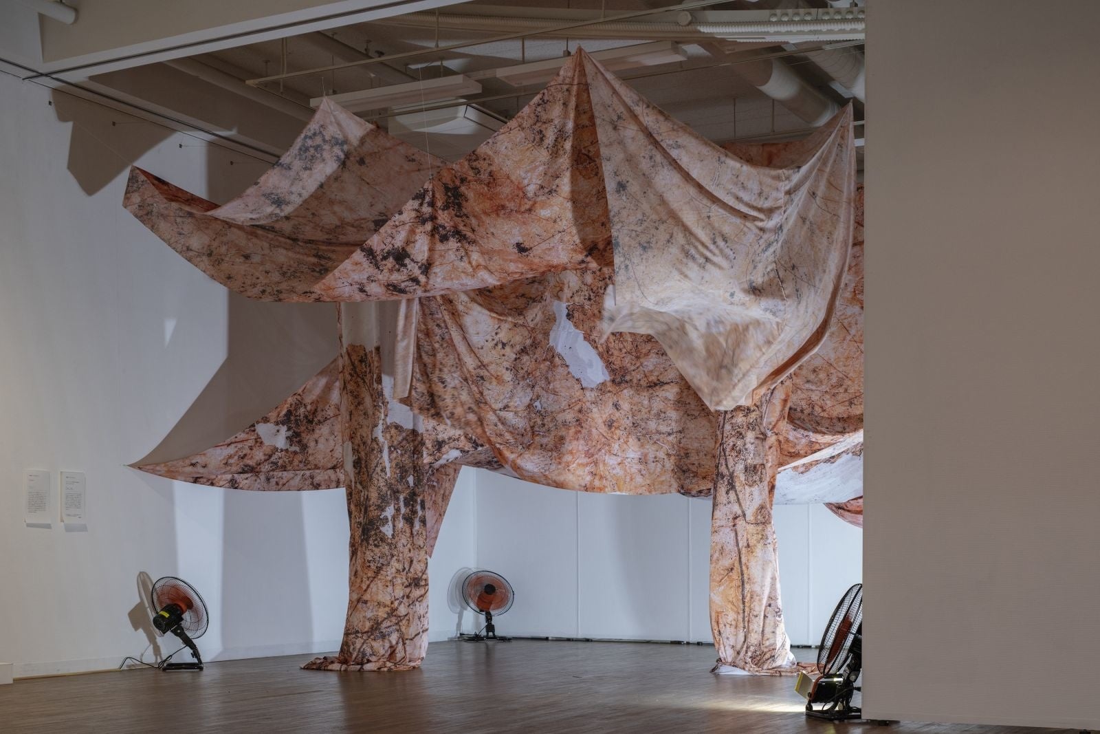 学内で行われたプレビュー展の様子。