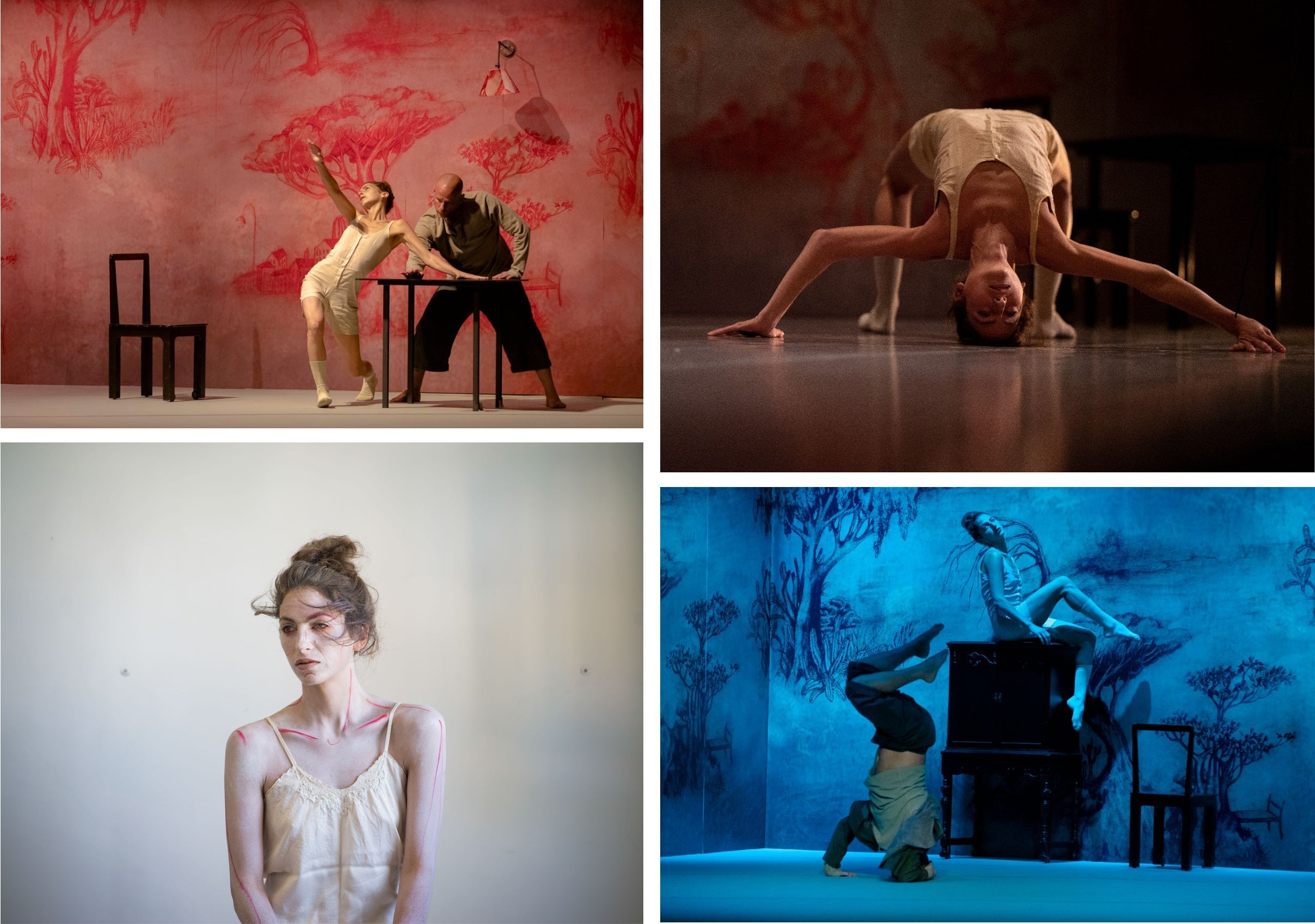 撮影者： 左上・右下Edouard Serra - Prisma Festival 2022, Panama  右上 Daniel Tchetchik  左下Michal Chelbin