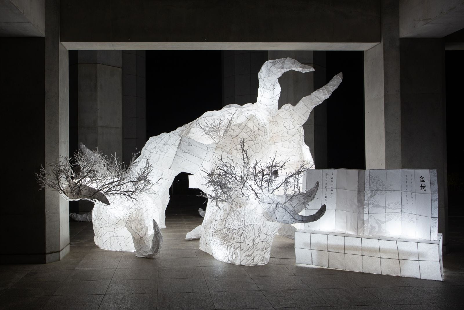 2022年優秀賞 ― Cクラス『盆栽』