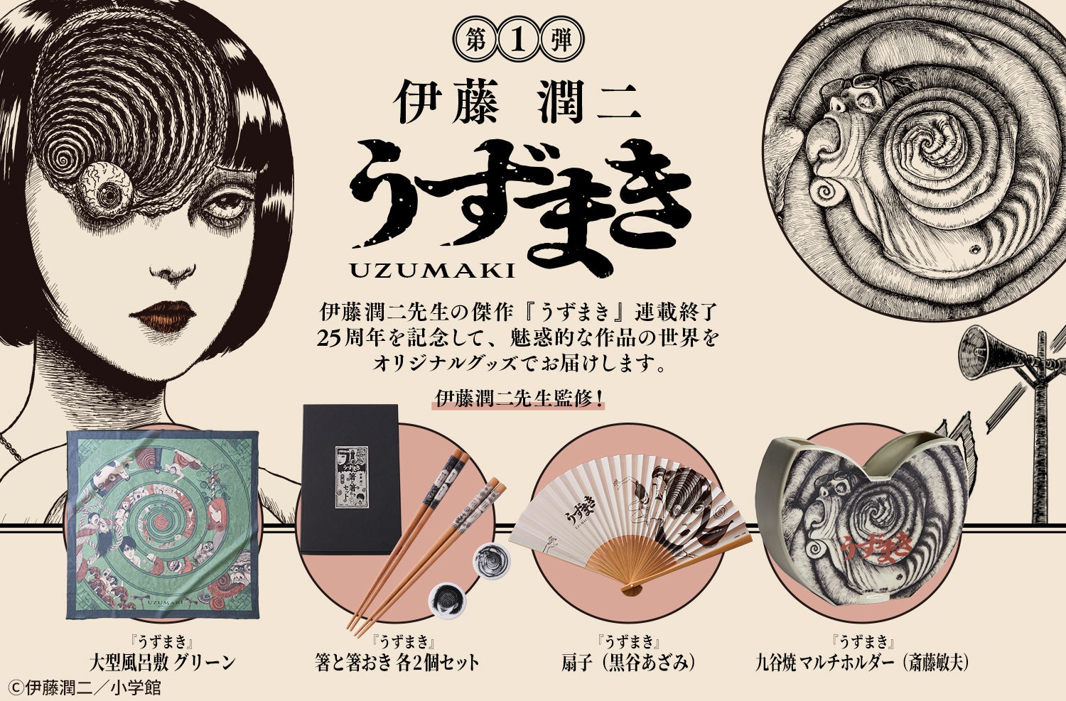 活動歴および当時の関連ビジュアル記録