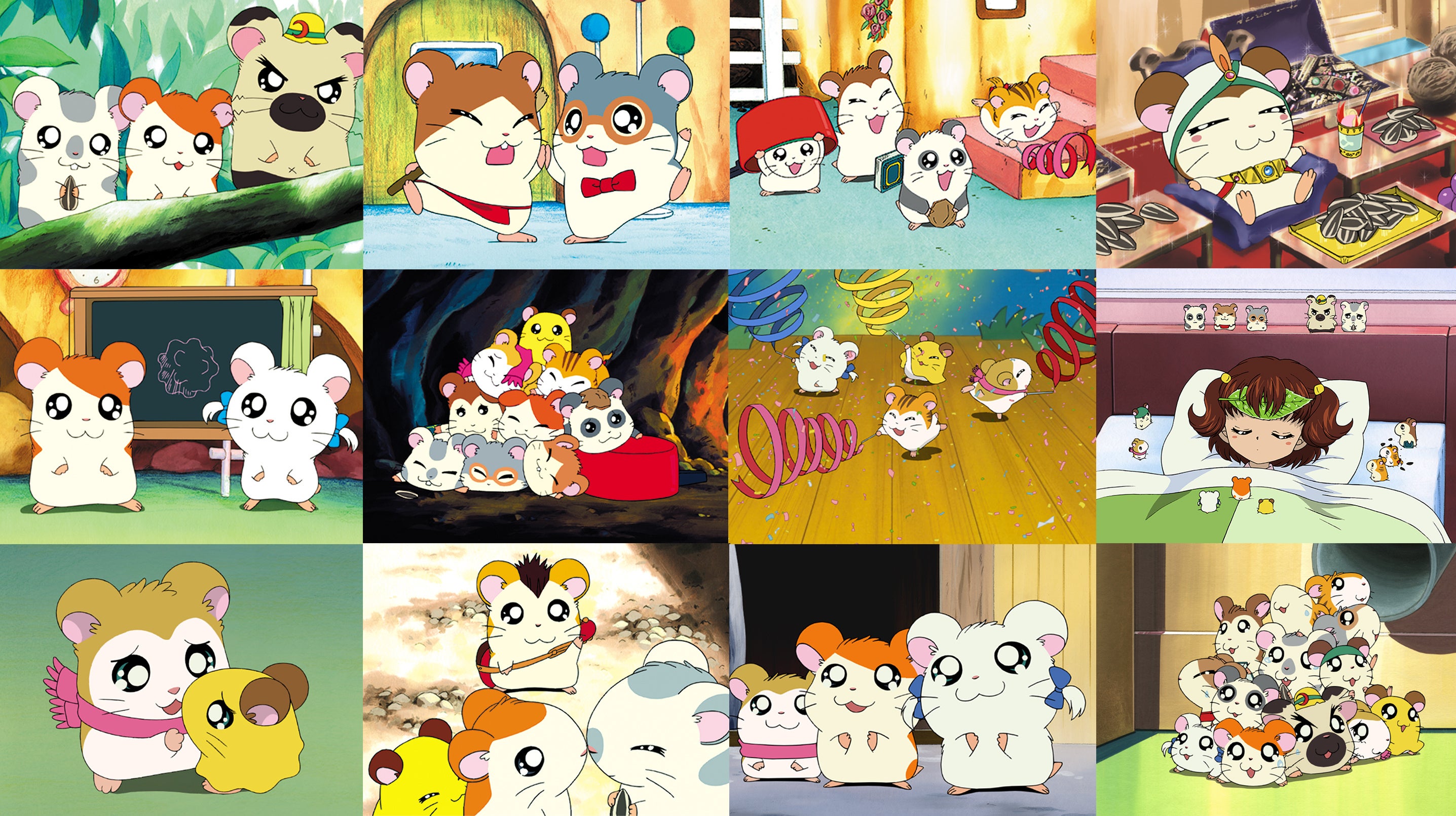 🐹今日はめがねくんのお誕生日👓 アニメ放送25周年記念イヤー