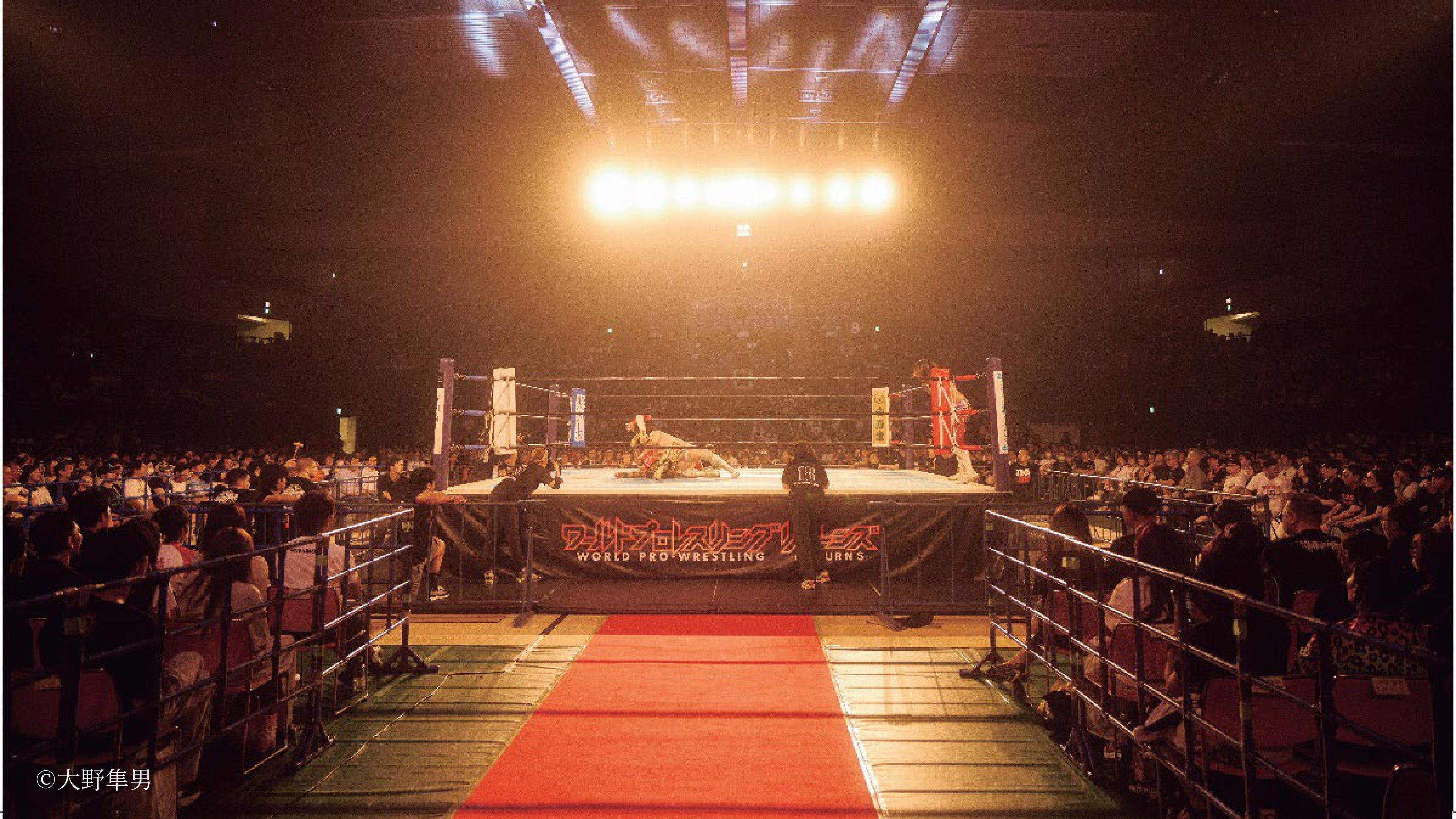 ACE／100』新日本プロレス 棚橋弘至選手現役最後の写真集 10月23日（木