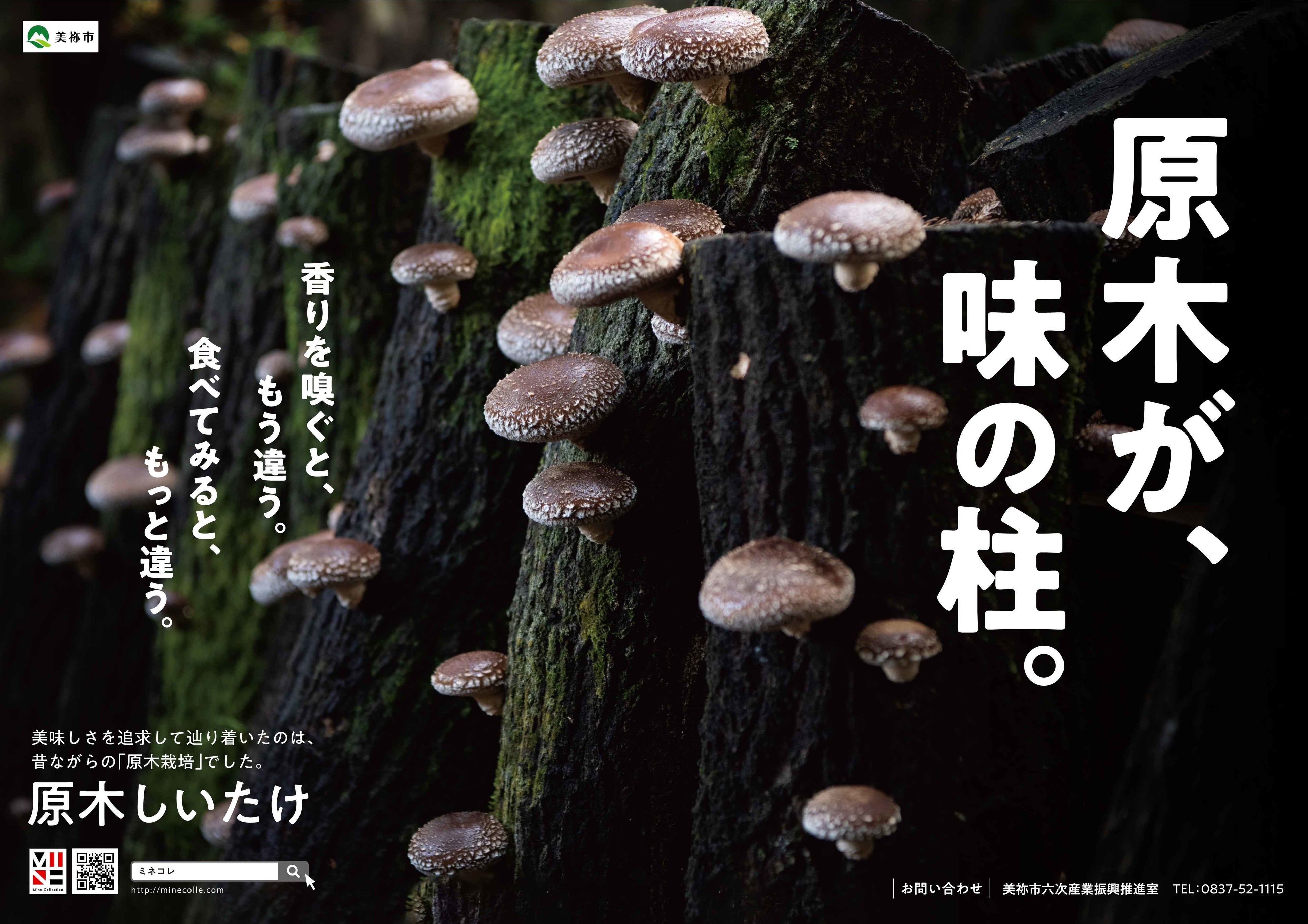 「原木しいたけ」ポスター
