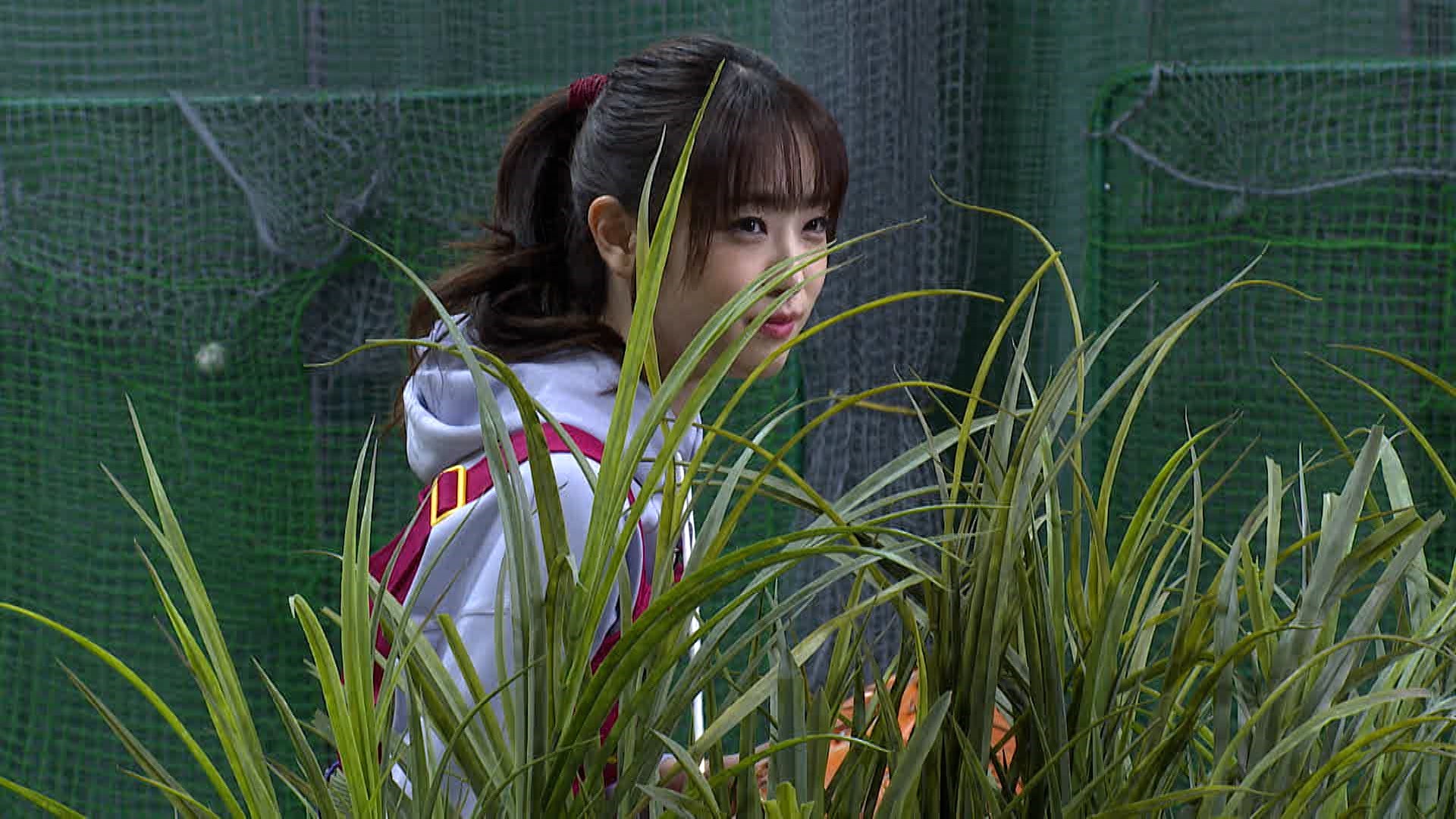 ひかるちゃんが『Pokémon LEGENDS アルセウス』の主人公みたいに草むらからボールを投げる！？