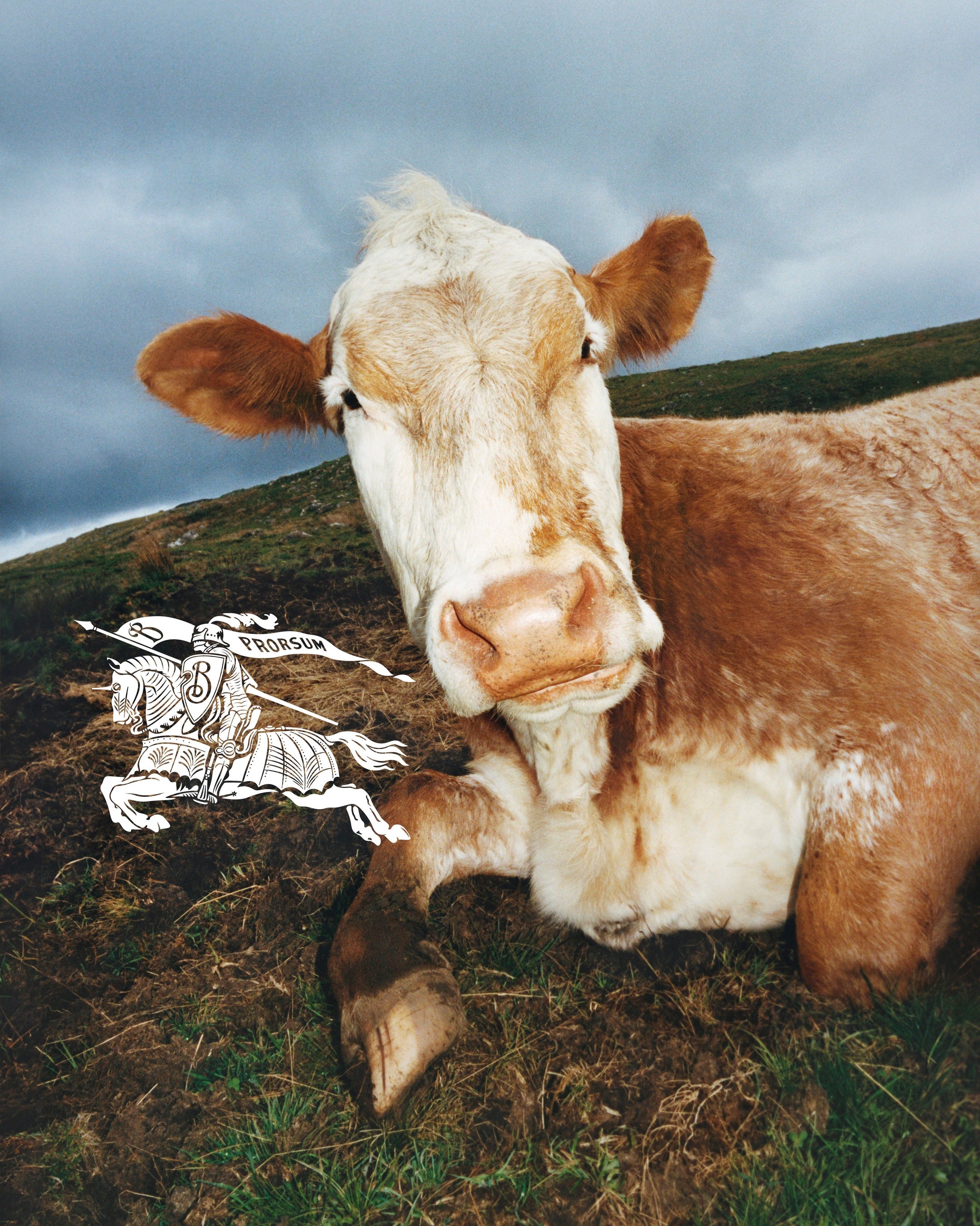 Courtesy of Burberry, Tyrone Lebon