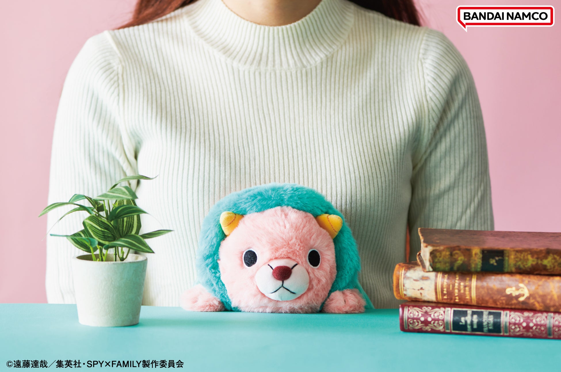 ふんばるず SPY×FAMILYが登場!猫背をサポートするアイテム ふんばるず SPY×FAMILYが登場!猫背をサポートするアイテム