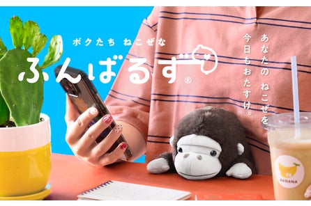 株式会社ドリームズのプレスリリース|PR TIMES 株式会社ドリームズのプレスリリース|PR TIMES
