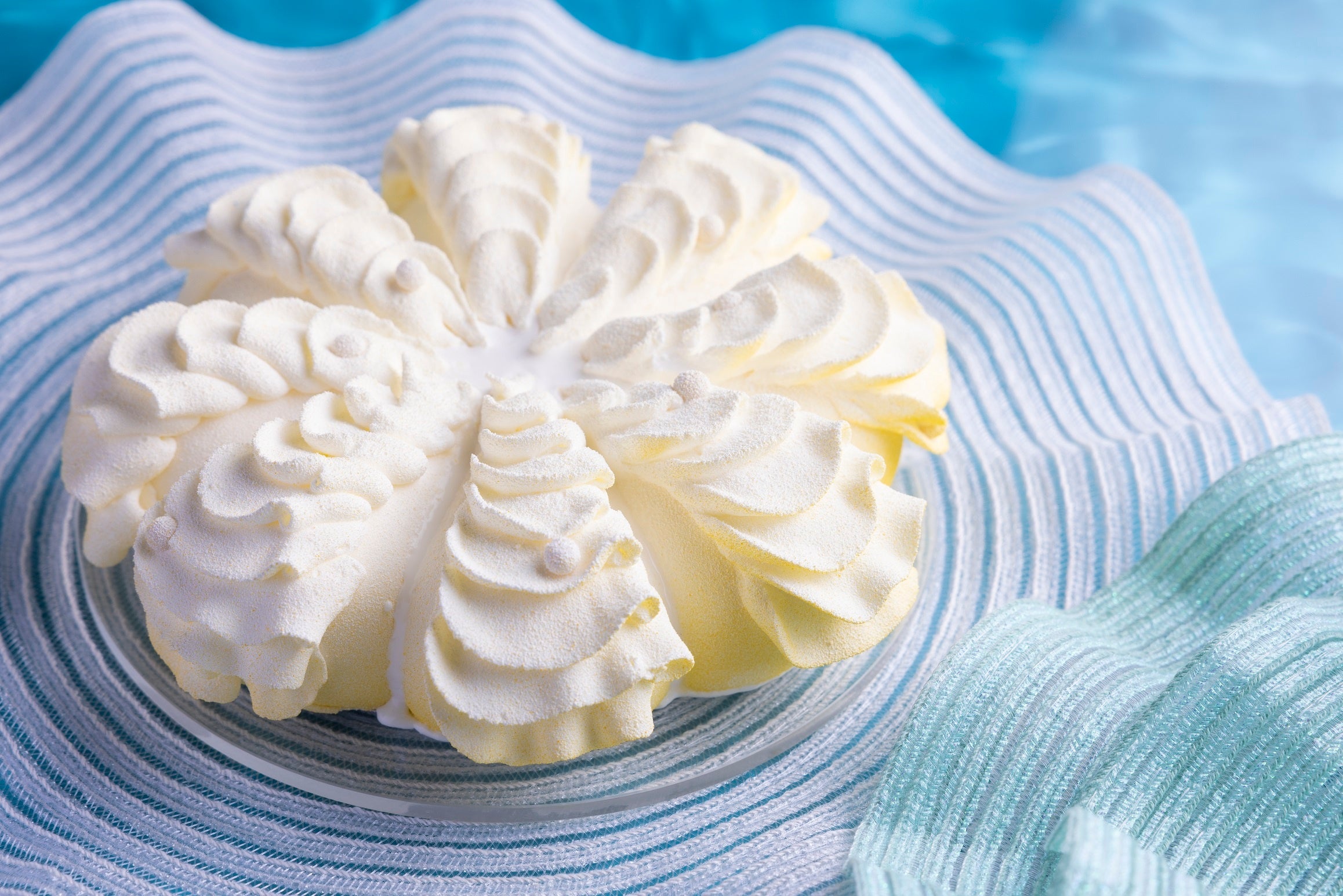 「貝に閉じ込めた秘密」イメージ