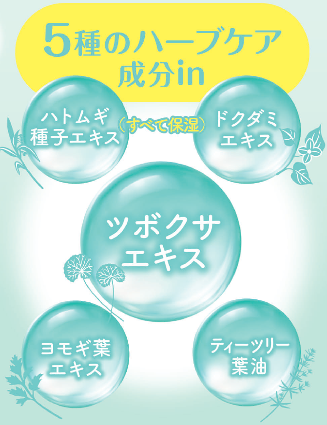 レビューで送料無料】 サナ 毛穴パテ職人 カラープレストパウダー ハーブ CICA シカ ベースメイク SPF27 PA++ 常盤薬品工業  www.gaviao.ba.gov.br