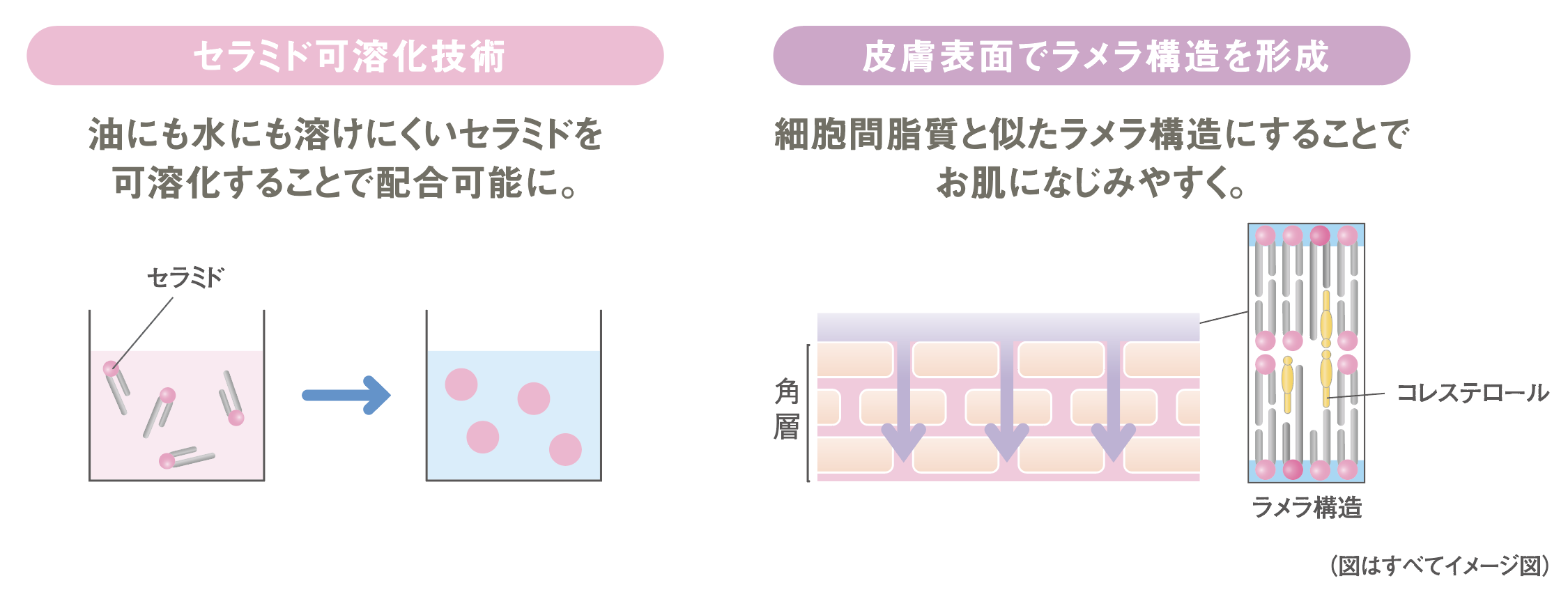 9月12日】敏感肌のための低刺激性化粧品『ノブ』のⅢシリーズから