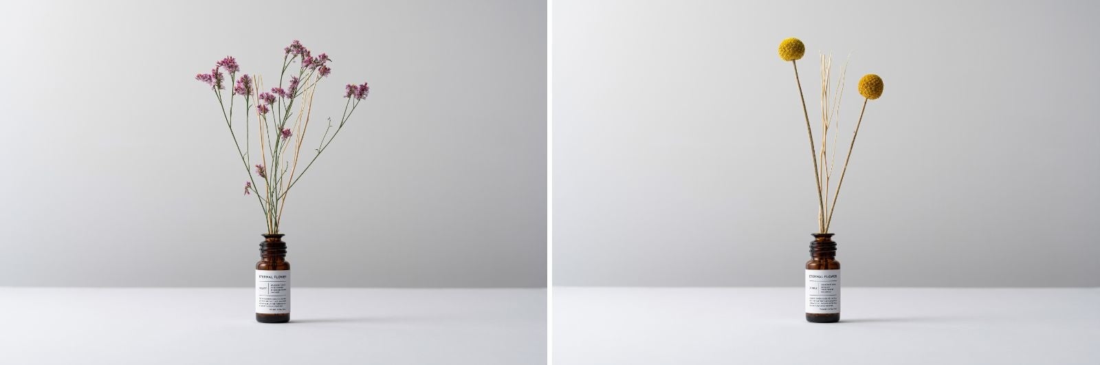 Fruity（左）、Citrus（右）