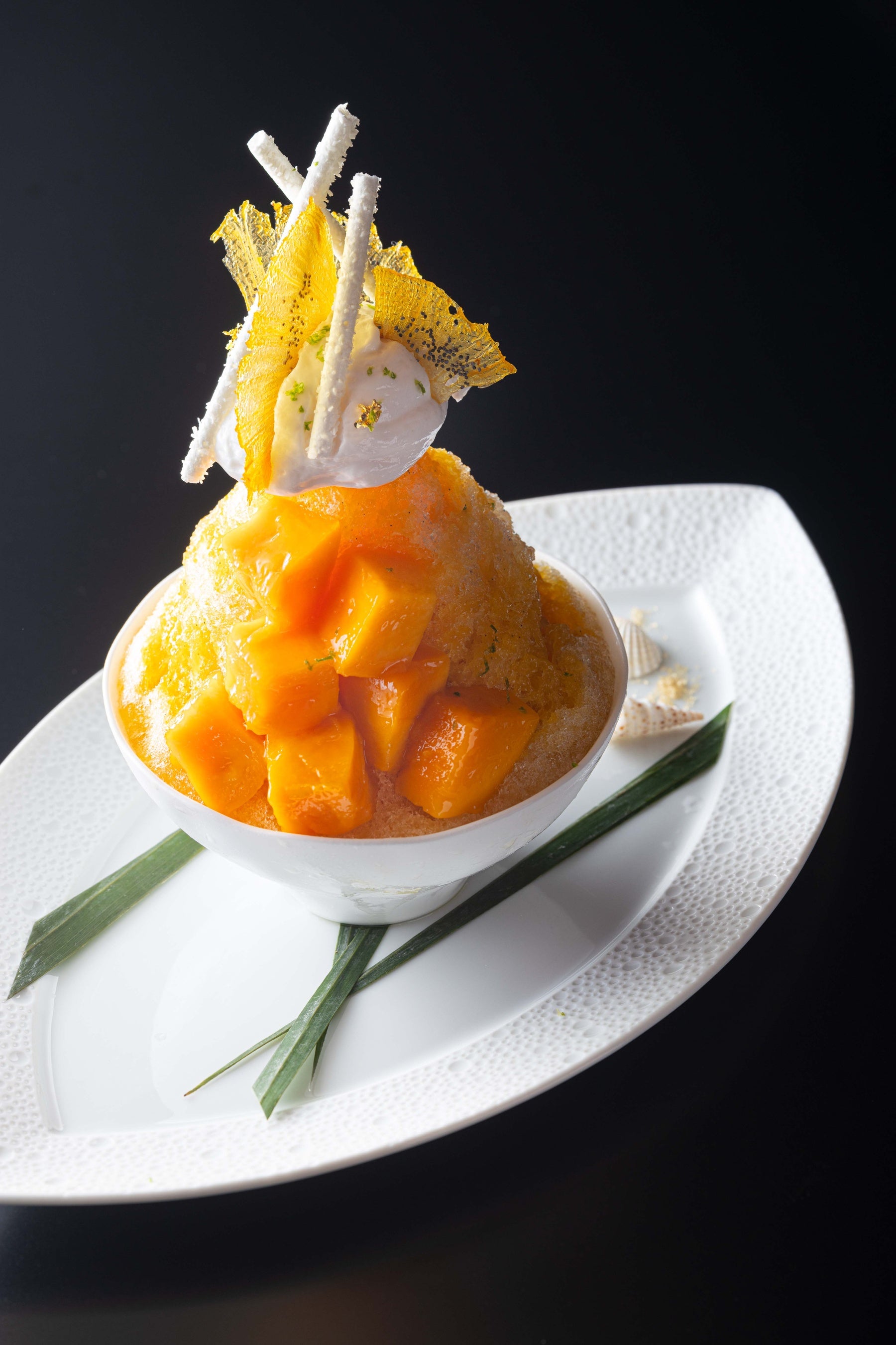 ジョエルロブションCuisinez comme un grand chef ロブションCuisinez comme un grand chef - メルカリ