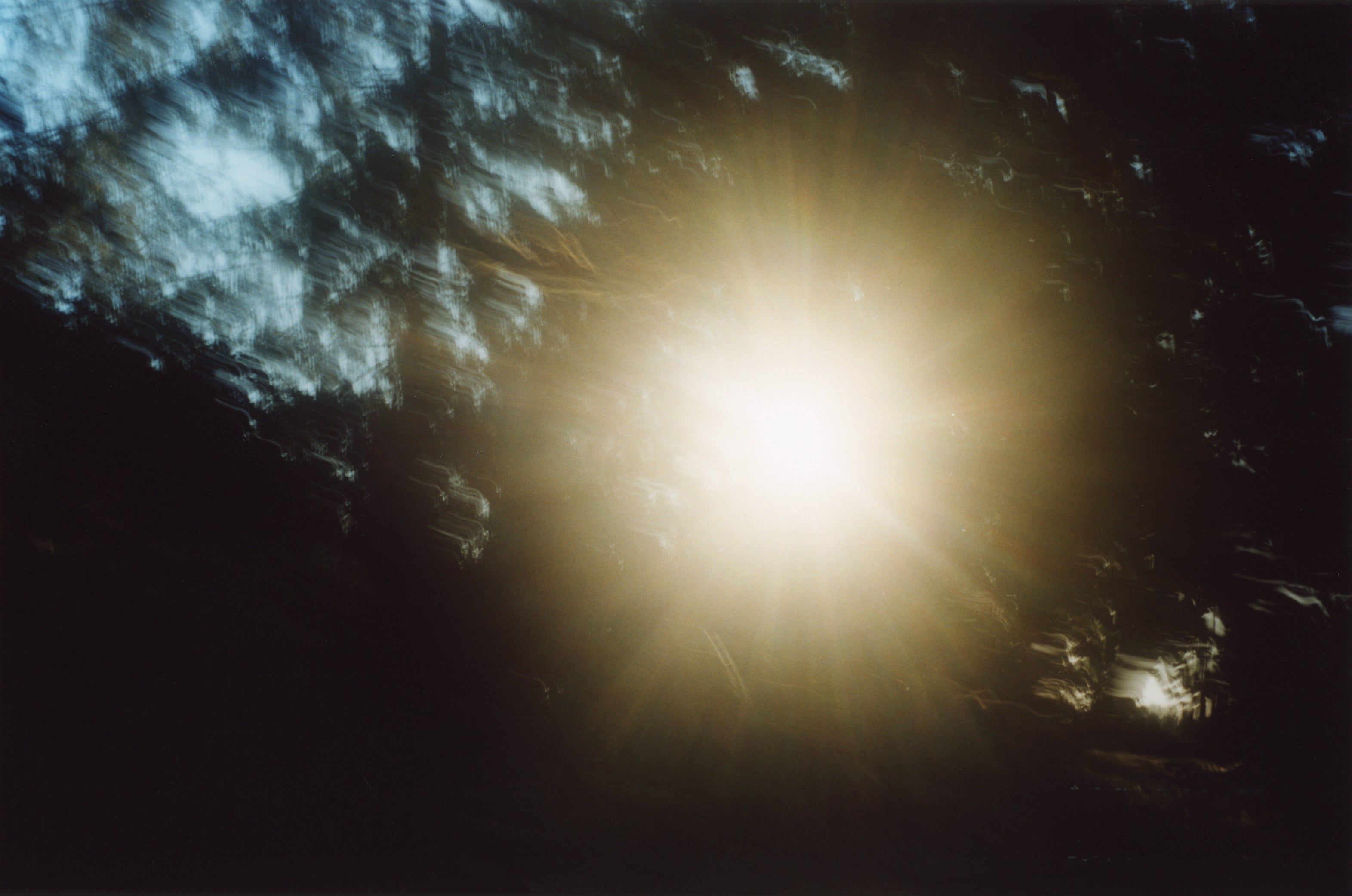 《無題（ニエプスの庭）》　2022年