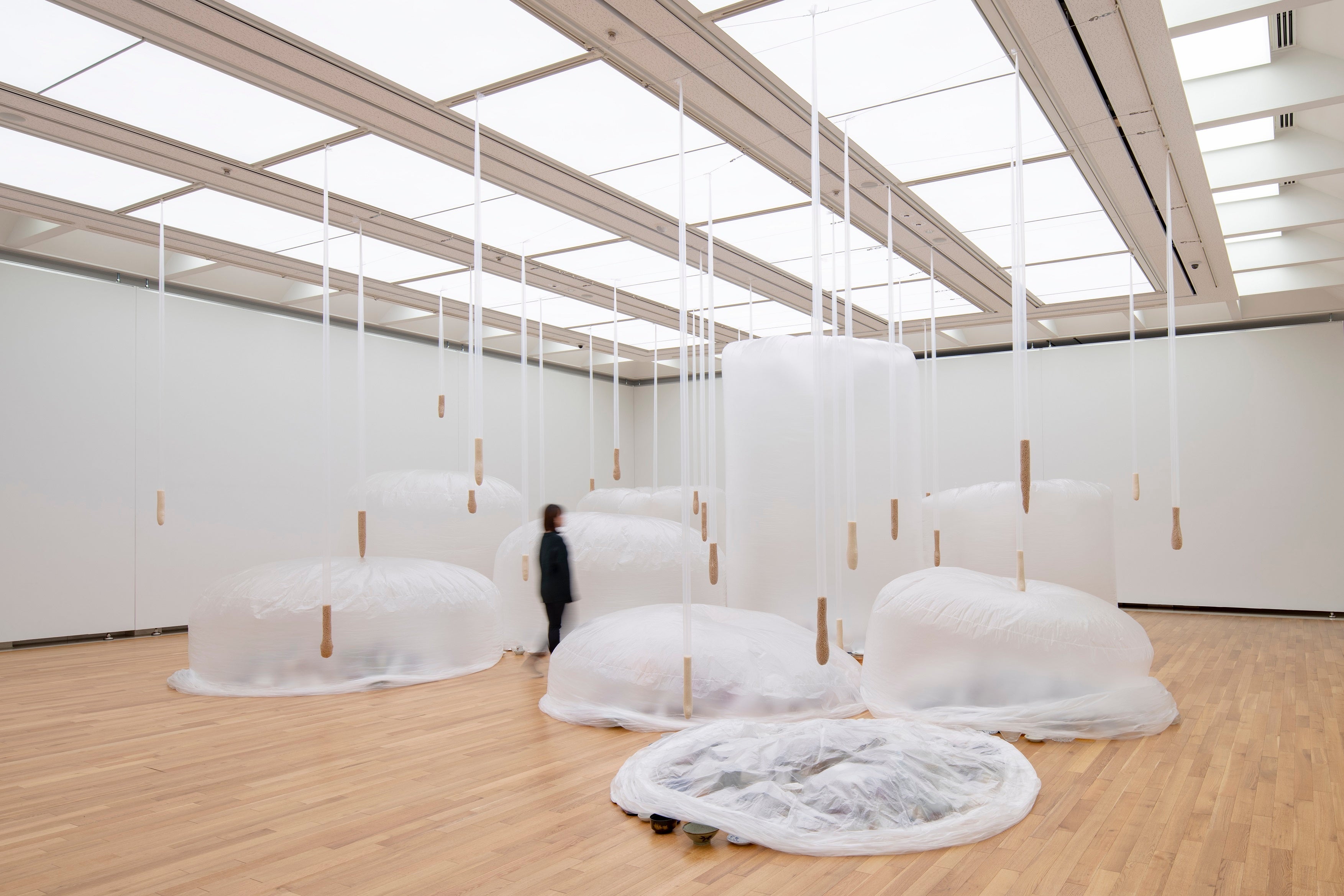 大西康明《虚実の距離》2020年