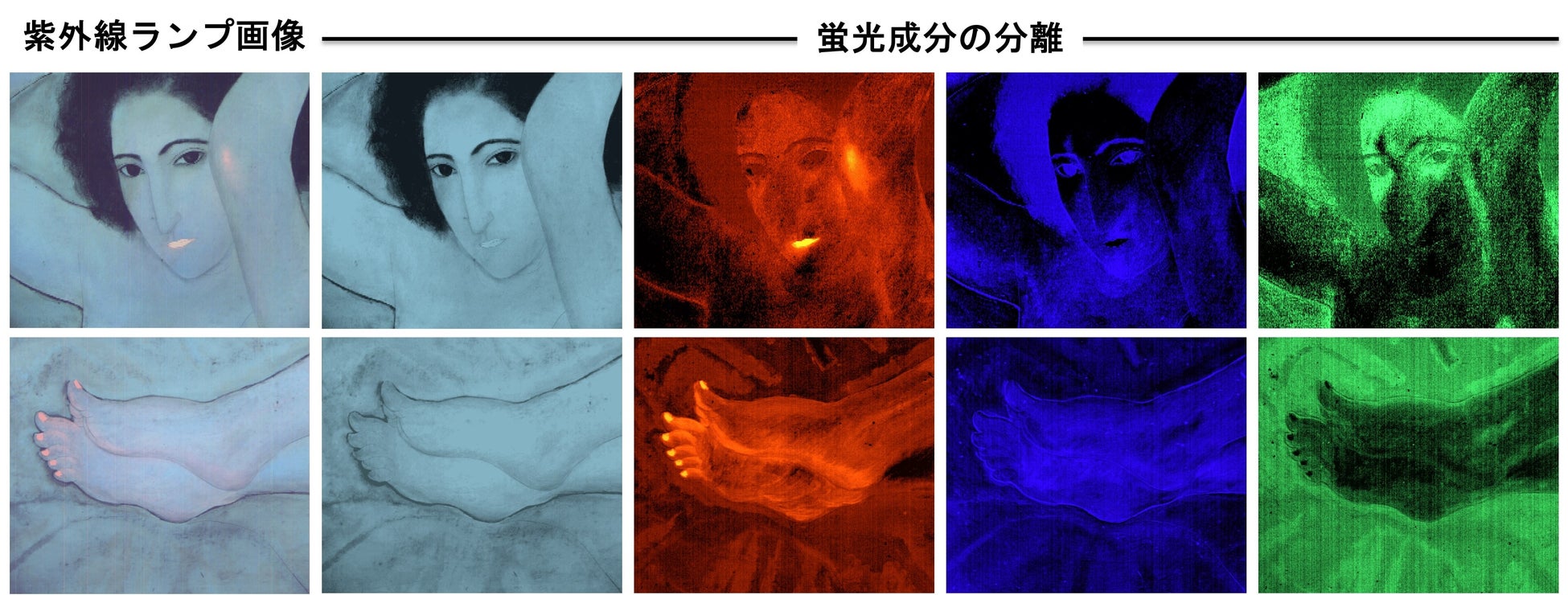 藤田嗣治の絵画における肌質感の秘密を解明する蛍光スペクトル解析 藤田嗣治の絵画における肌質感の秘密を解明する蛍光スペクトル解析