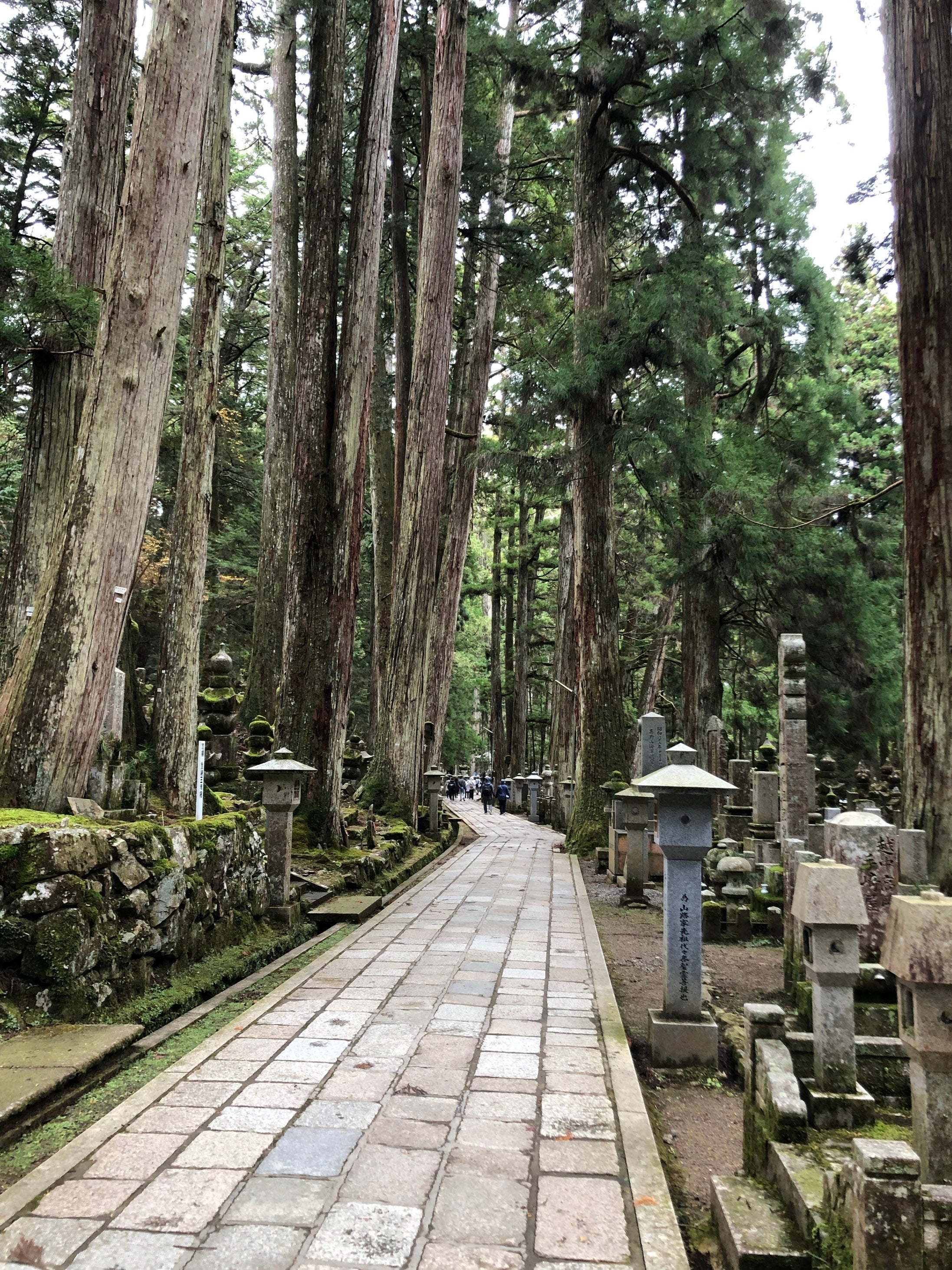 高野山の奥の院のお墓の数に圧倒された。