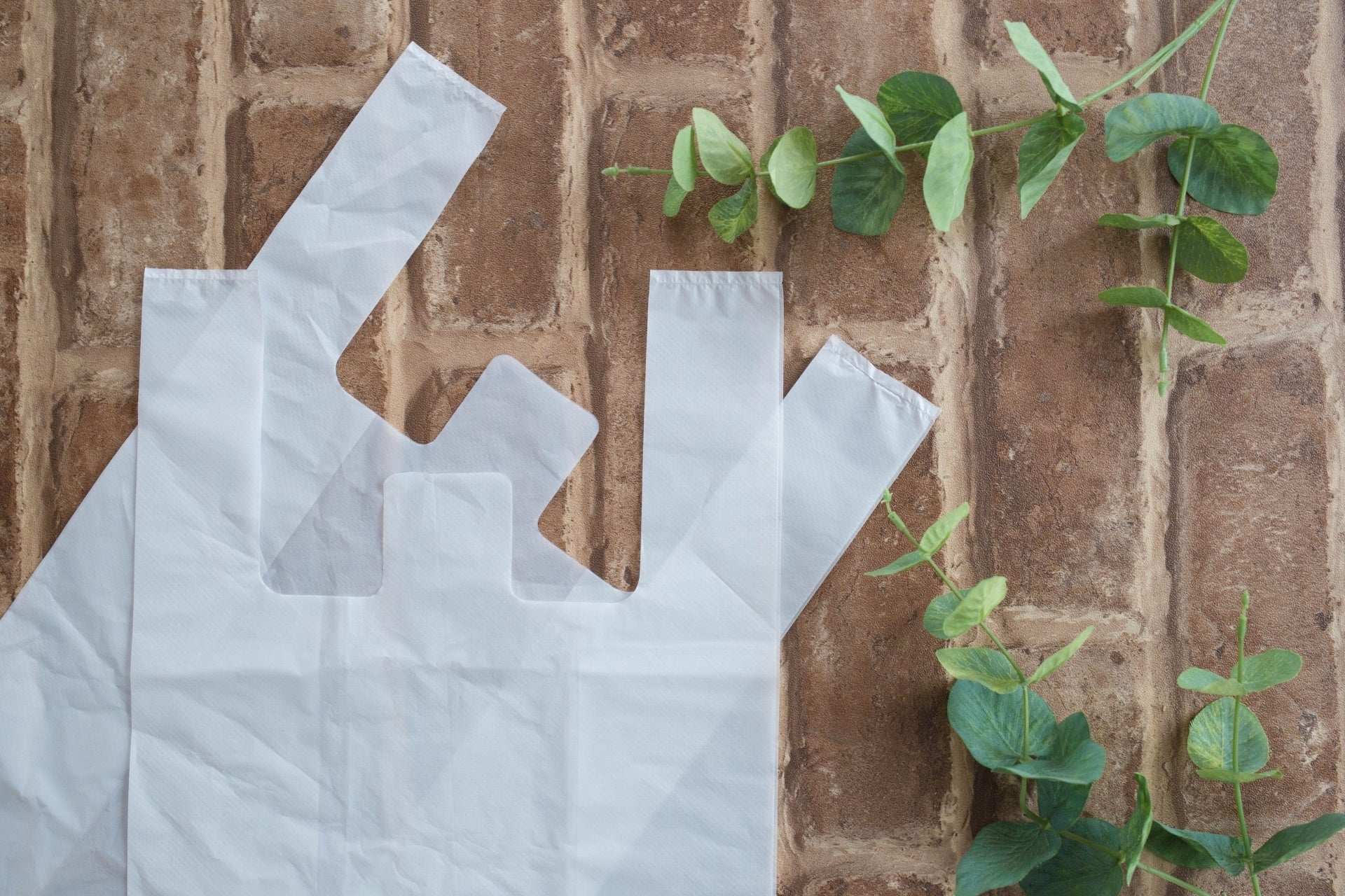 買い物のときにレジ袋ではなくマイバッグを使う、といった行動もSDGsの目標達成のためになります(画像はイメージです)