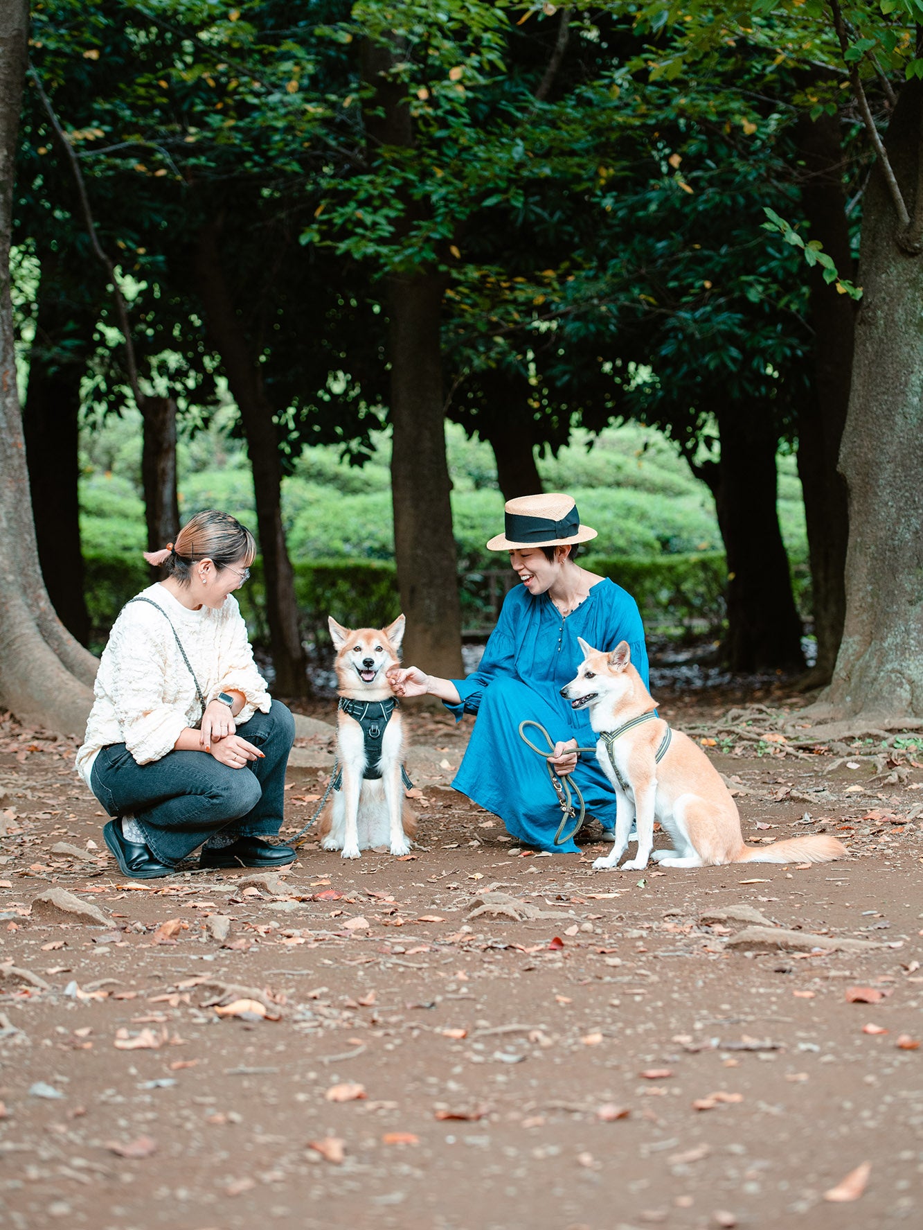 平澤まりこさんとペッカが学ぶ　　　　　　　　　　　　　　　保護犬と触れ合うためのはじめましての作法