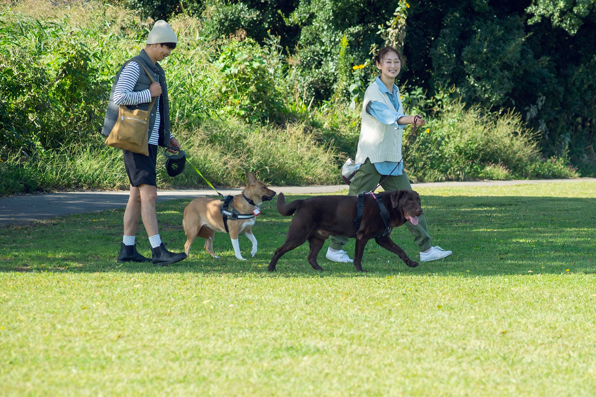 雅姫さんと元保護犬ヴォルスくんのお散歩拝見　　　　　　　　　　　　　　犬がそこにいるだけで、幸せ