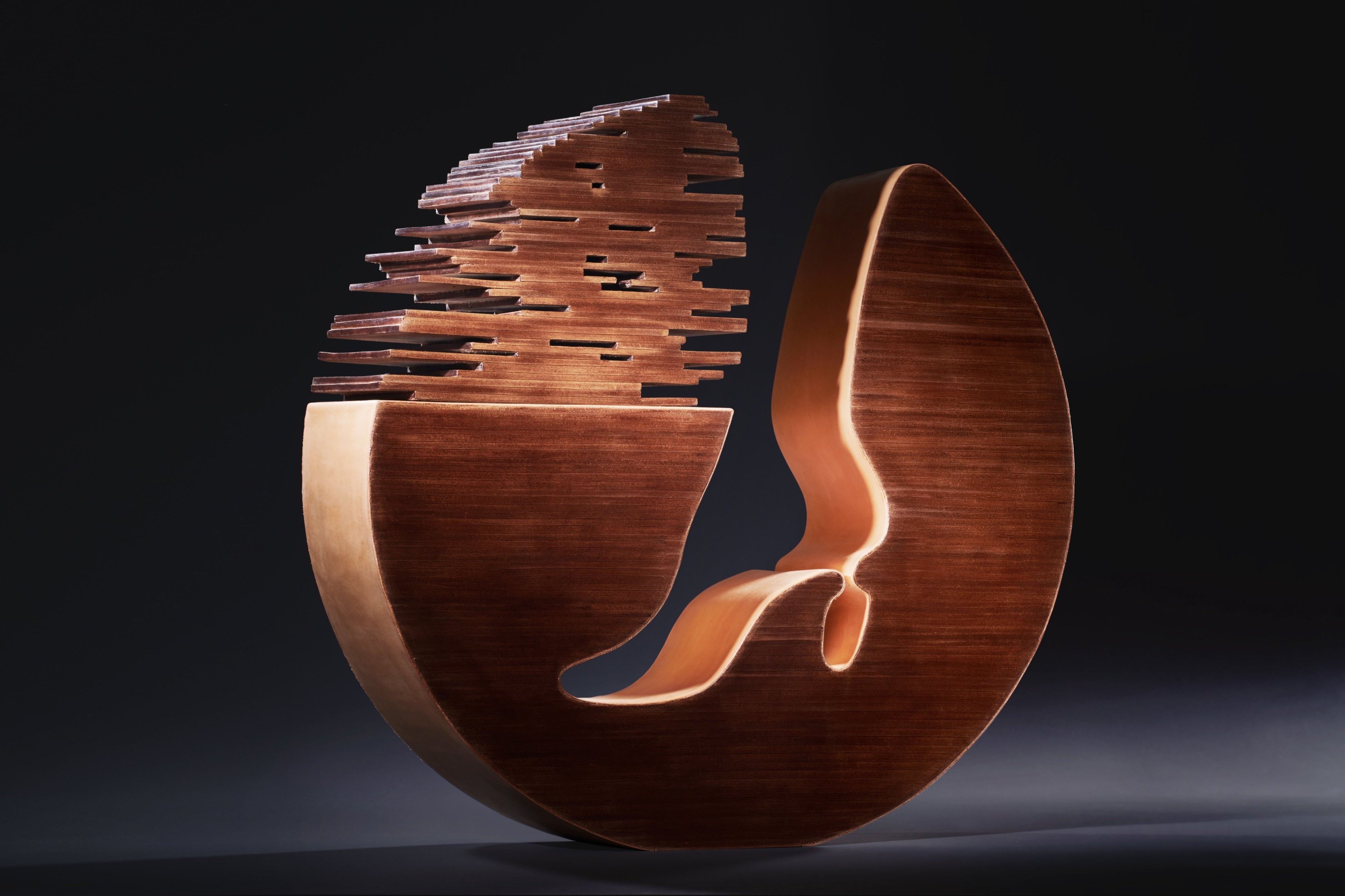 足の巣（2020年）