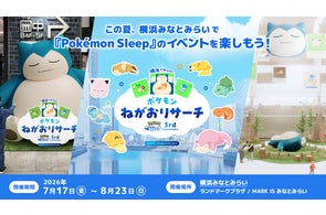 強力なポケモンVMAXが入った構築デッキ、「スターターセットVMAX 強力なポケモンVMAXが入った構築デッキ、「スターターセットVMAX
