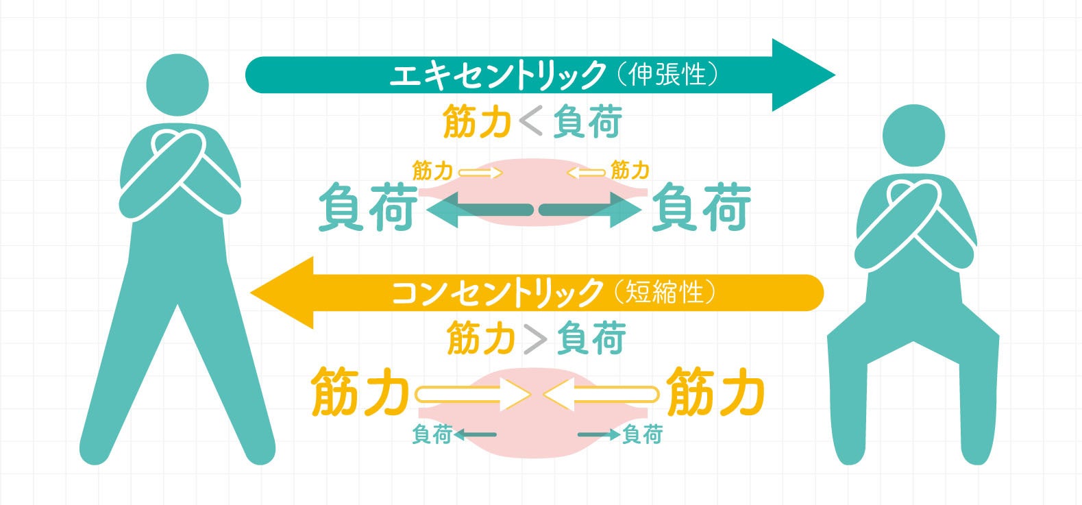 1回5秒！ ゆ～っくり、力を入れている筋肉を伸ばす体操で筋力UP
