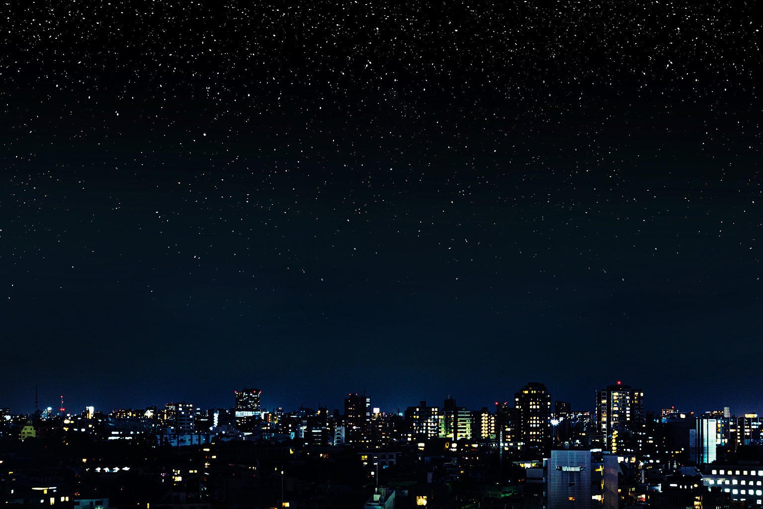 20時からの予約で見られる夜景