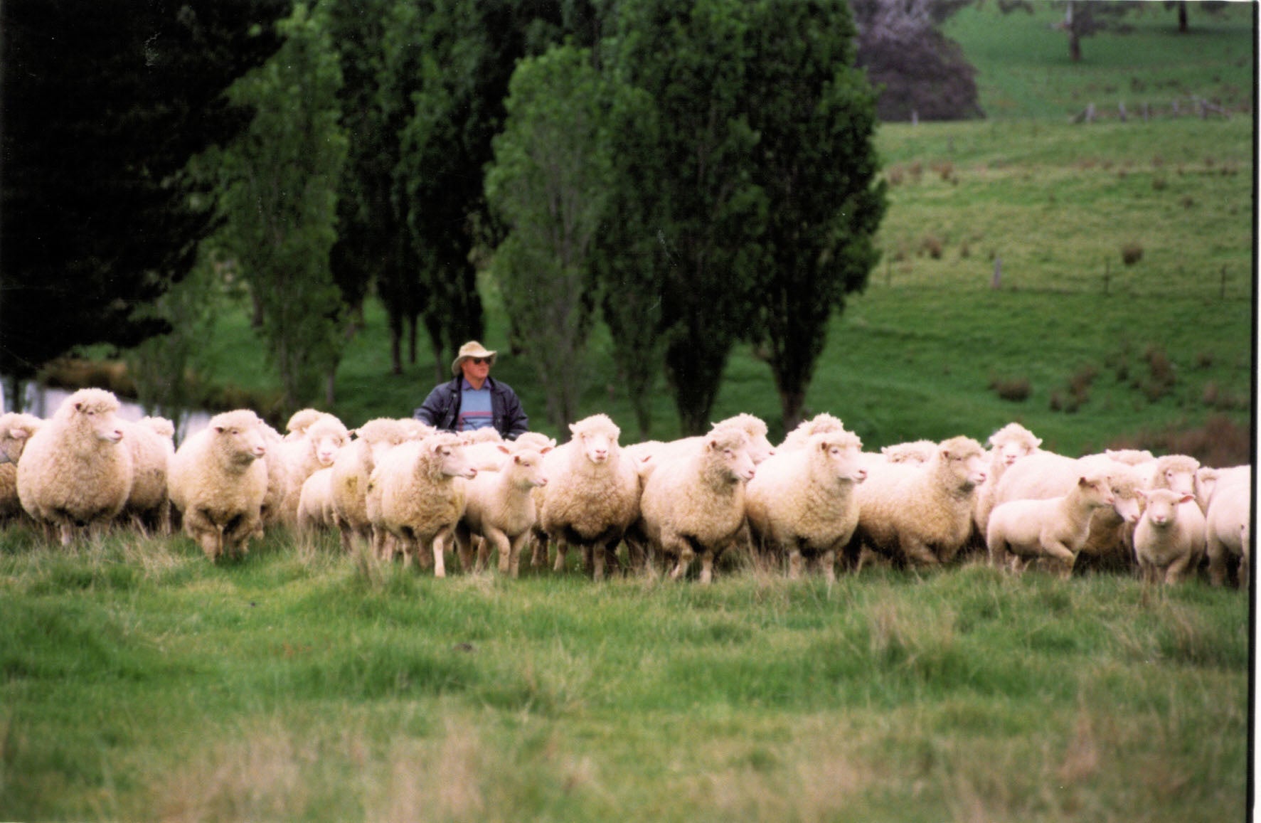 かつてないラム体験、日本初のラムビストロ