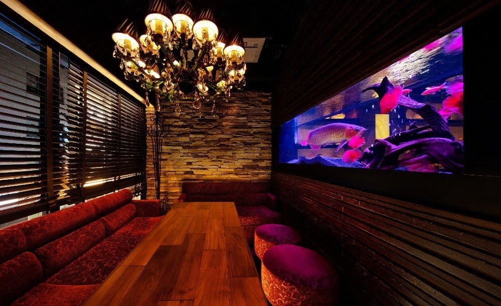 アロワナVIP個室