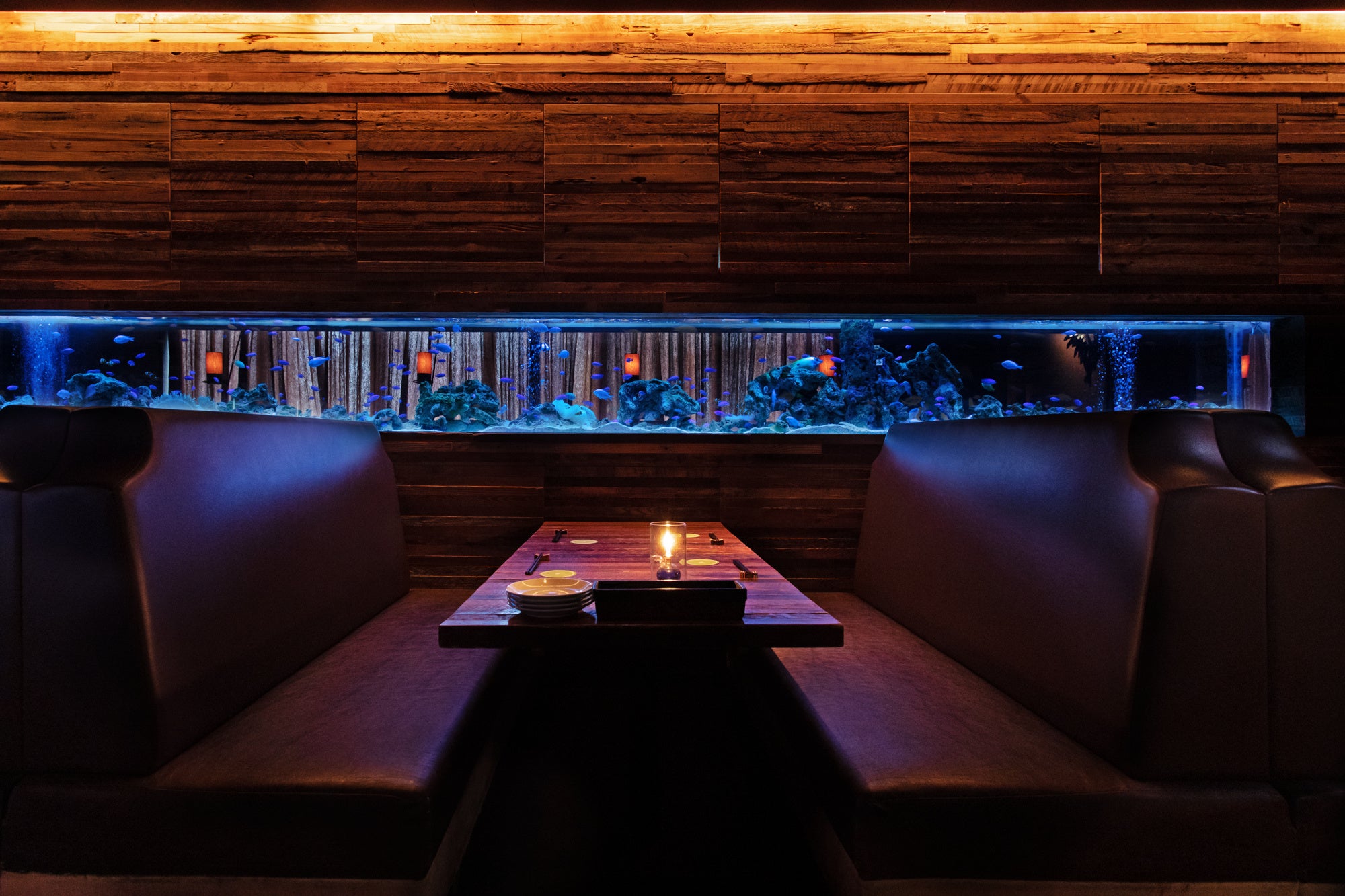 アクアリウムBOXソファーシート