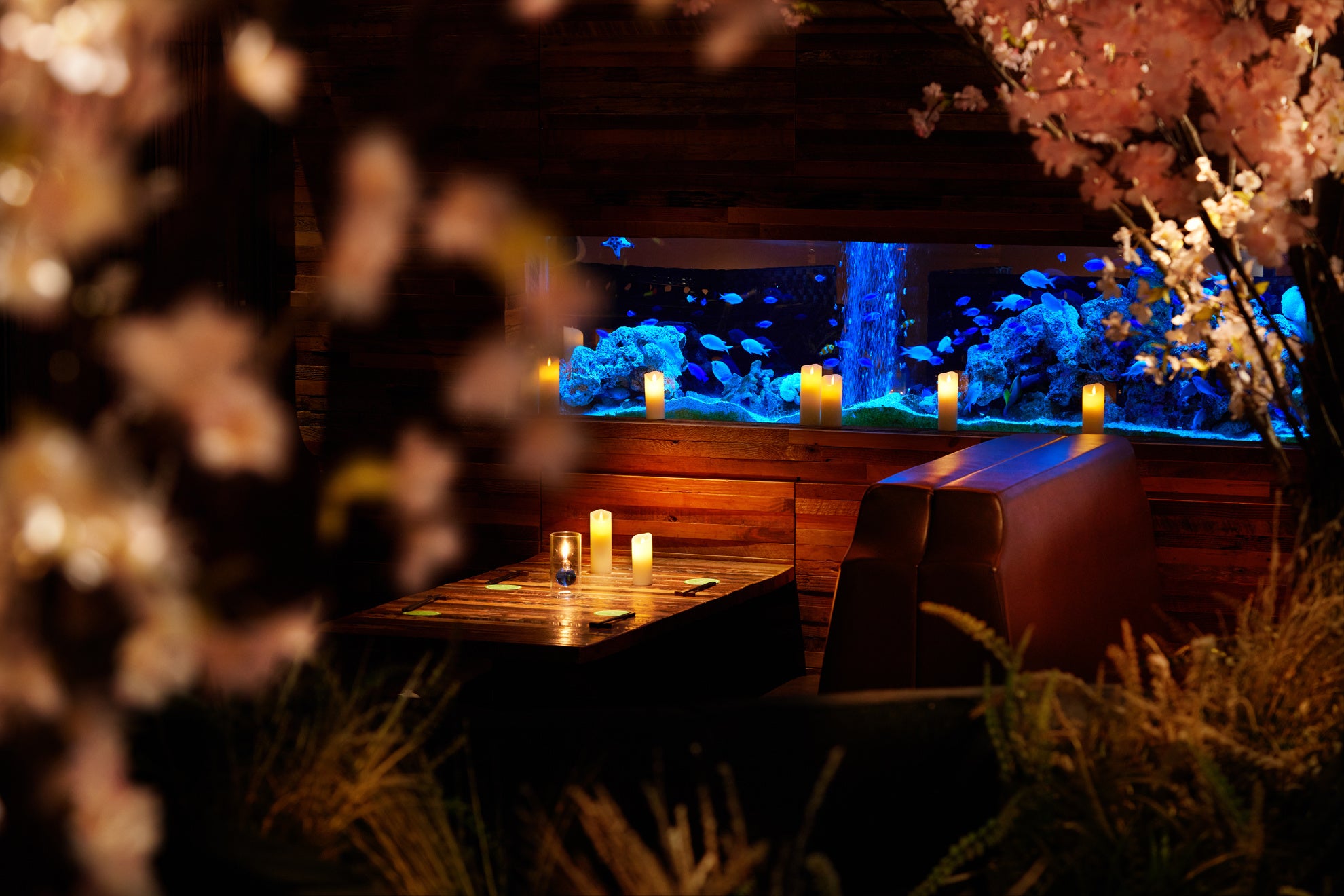 夜桜×アクアリウムBOXソファーシート