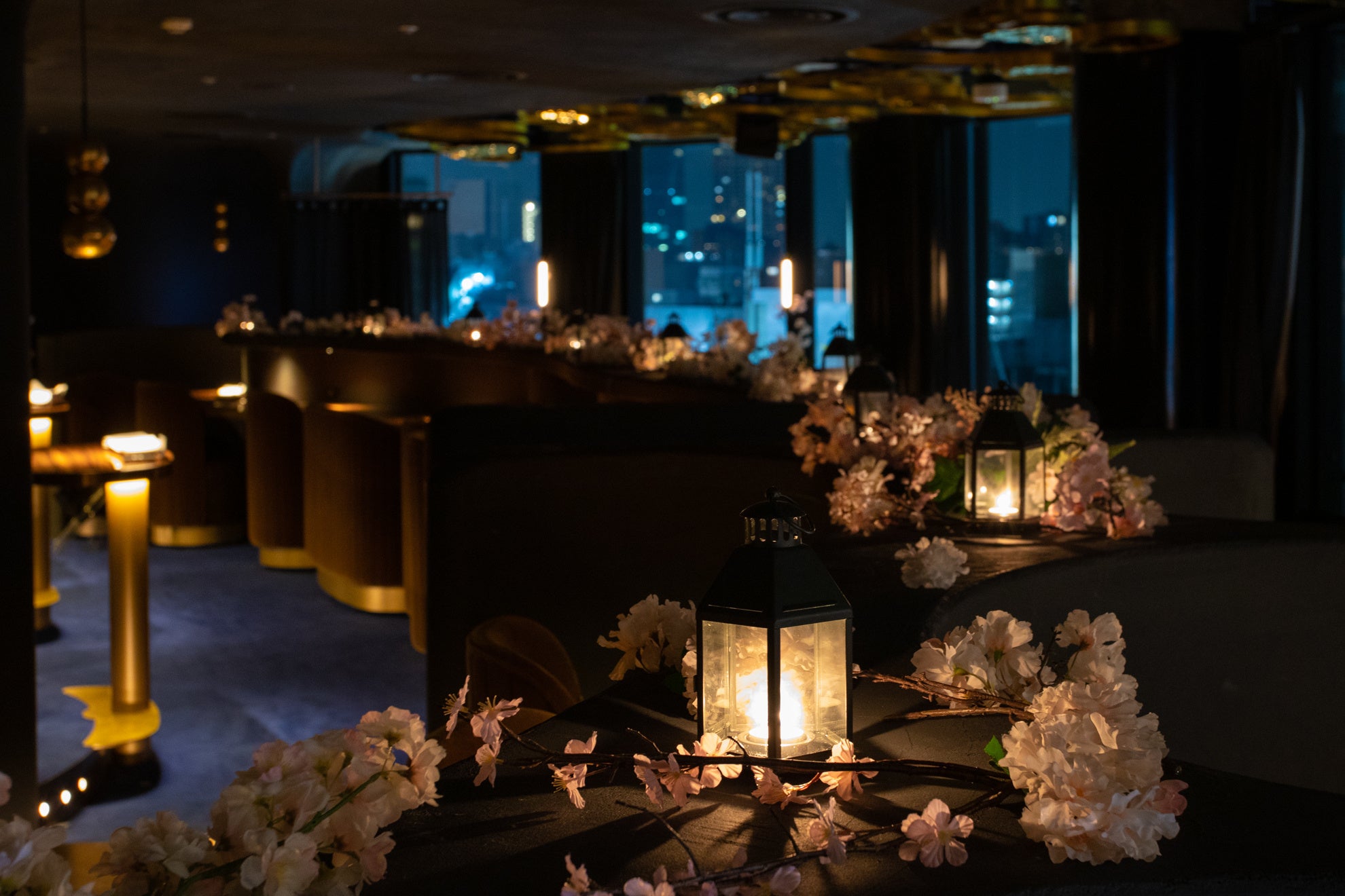 3月16日ランチタイムからから見ることが出来ます。